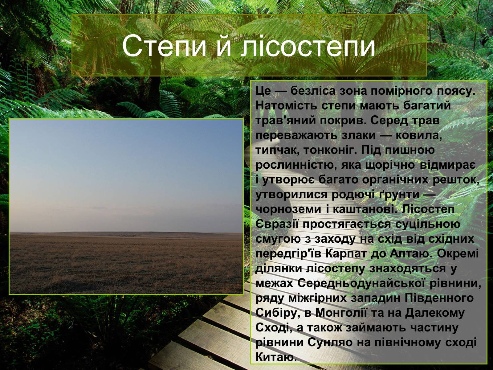 Презентація на тему «Природні зони Євразії» - Слайд #8 Презентація на тему «Природні зони Євразії» - Слайд #8
