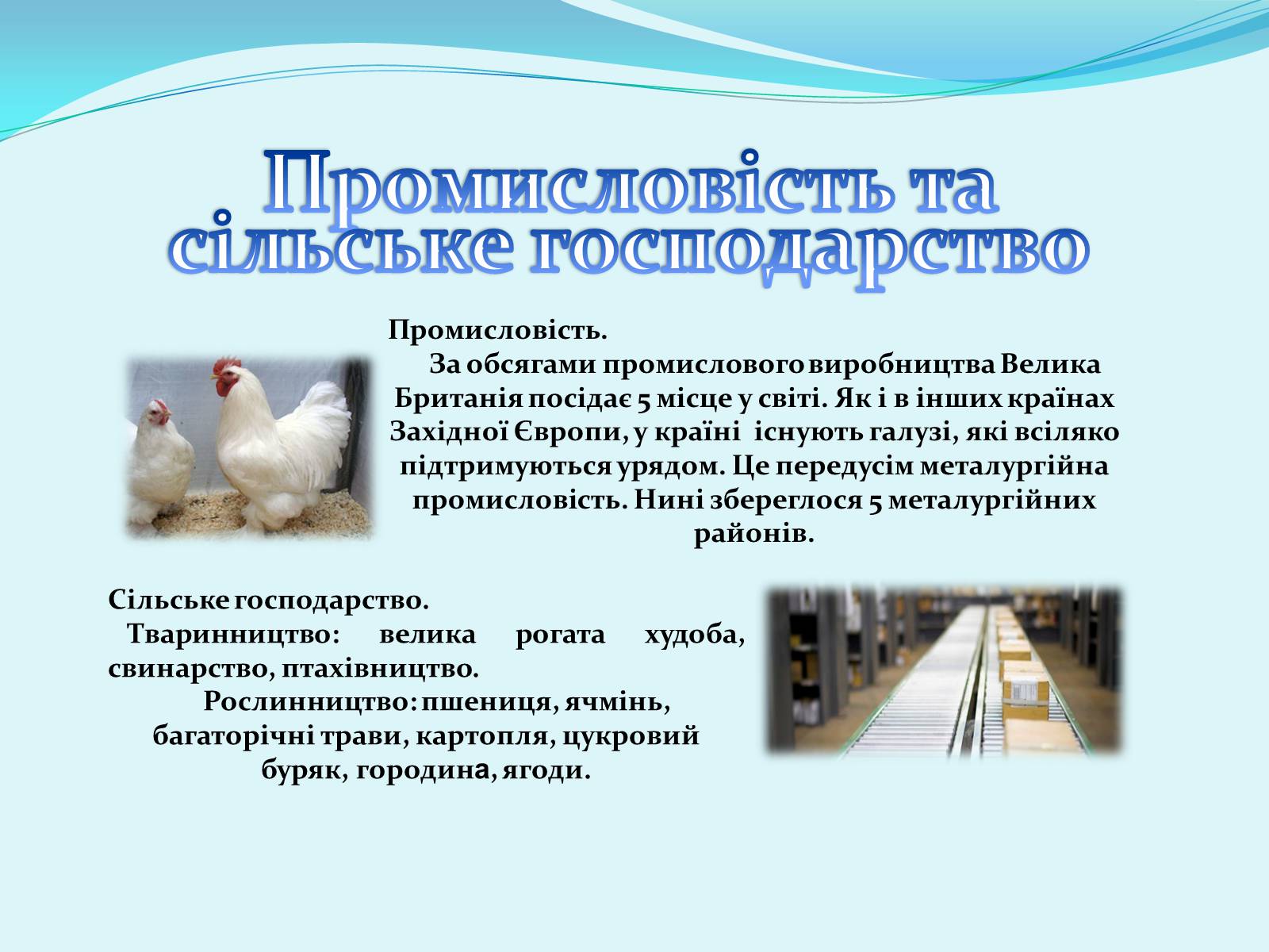 Презентація на тему «Велика Британія» (варіант 13) - Слайд #8 Презентація на тему «Велика Британія» (варіант 13) - Слайд #8