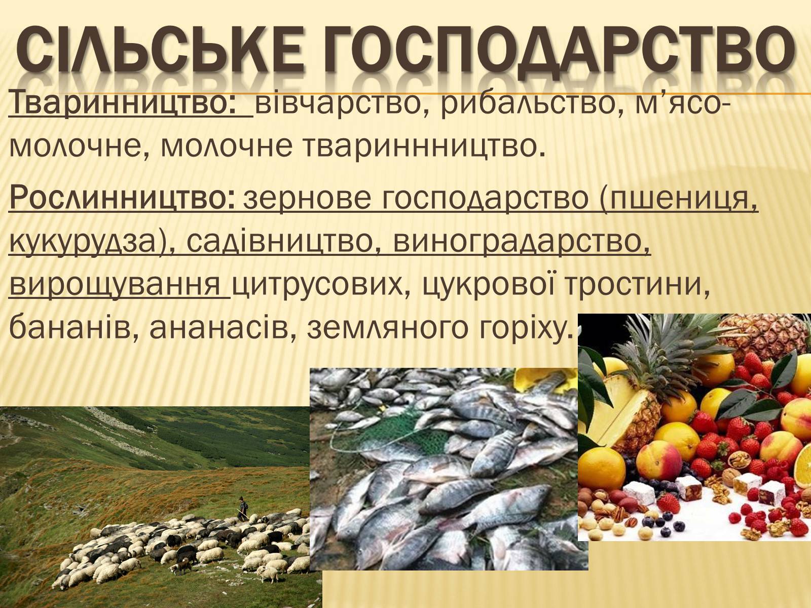 Презентація на тему «Австралія» (варіант 16) - Слайд #16 Презентація на тему «Австралія» (варіант 16) - Слайд #16