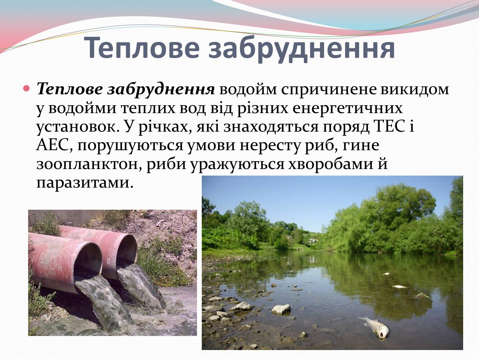 Презентація на тему «Забруднення води» - Слайд #11 Презентація на тему «Забруднення води» - Слайд #11