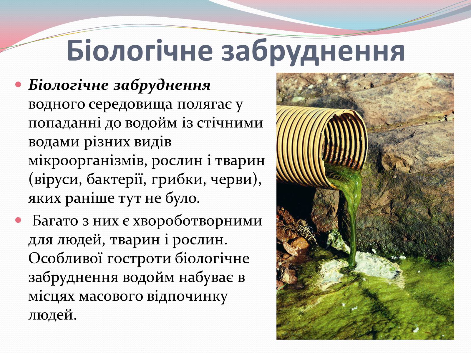 Презентація на тему «Забруднення води» - Слайд #12 Презентація на тему «Забруднення води» - Слайд #12