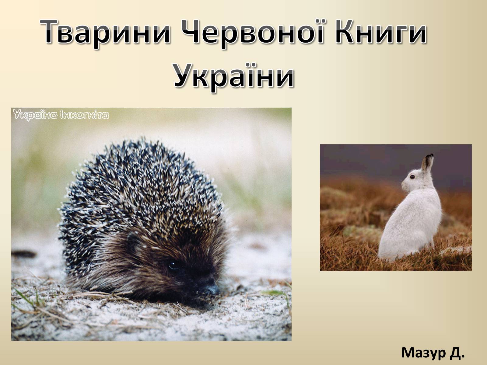 Презентація на тему «Тварини Червоної Книги України» - Слайд #1 Презентація на тему «Тварини Червоної Книги України» - Слайд #1