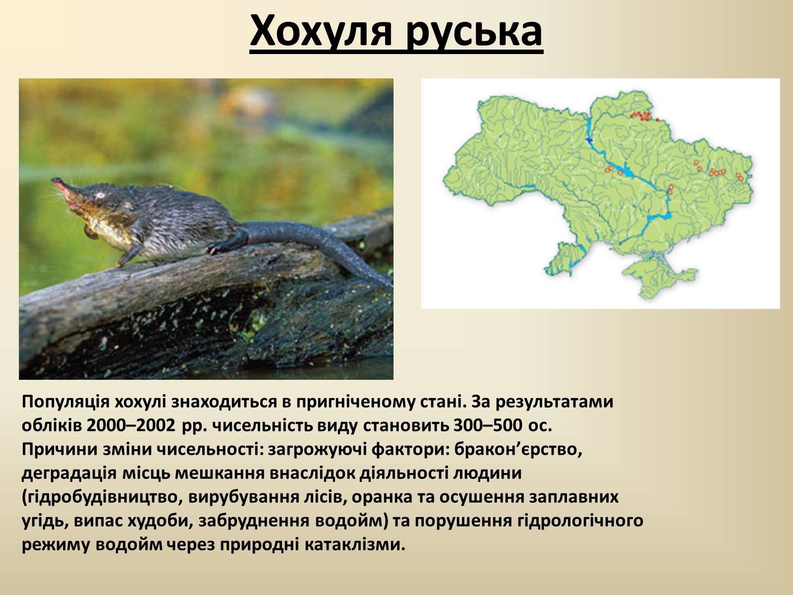 Презентація на тему «Тварини Червоної Книги України» - Слайд #16 Презентація на тему «Тварини Червоної Книги України» - Слайд #16