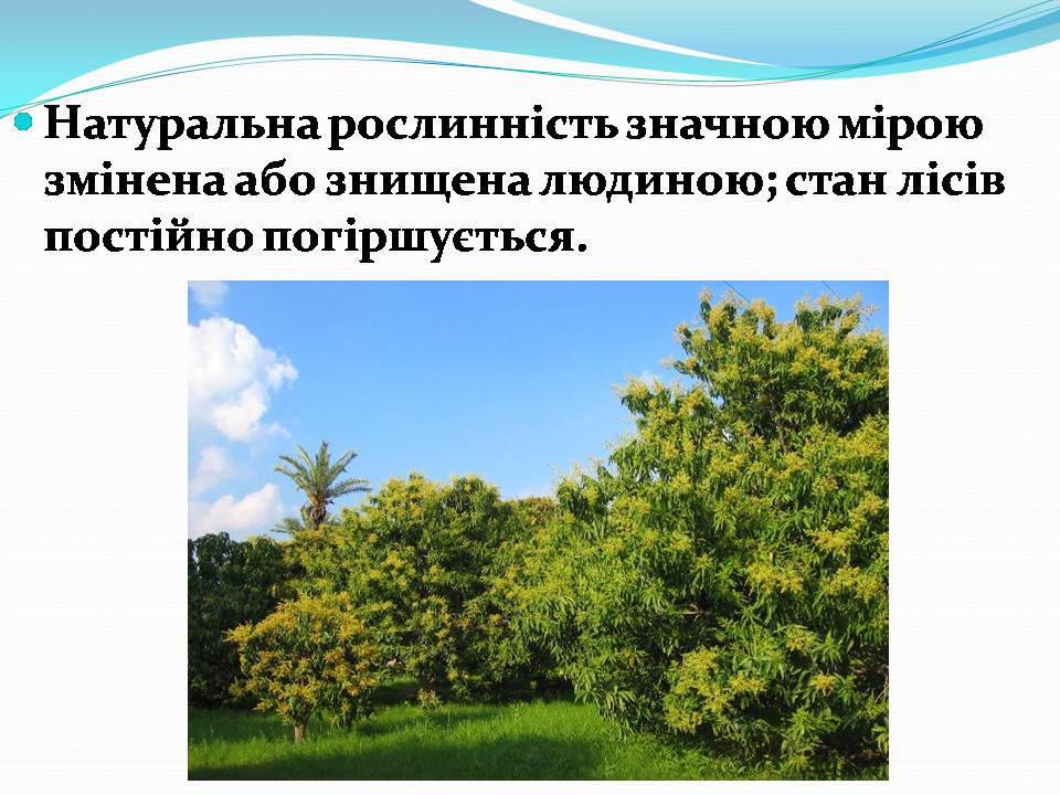 Презентація на тему «Європа» - Слайд #12 Презентація на тему «Європа» - Слайд #12