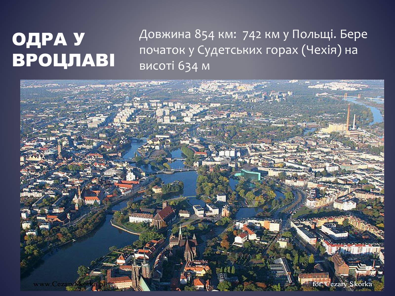 Презентація на тему «Польща» (варіант 13) - Слайд #10 Презентація на тему «Польща» (варіант 13) - Слайд #10