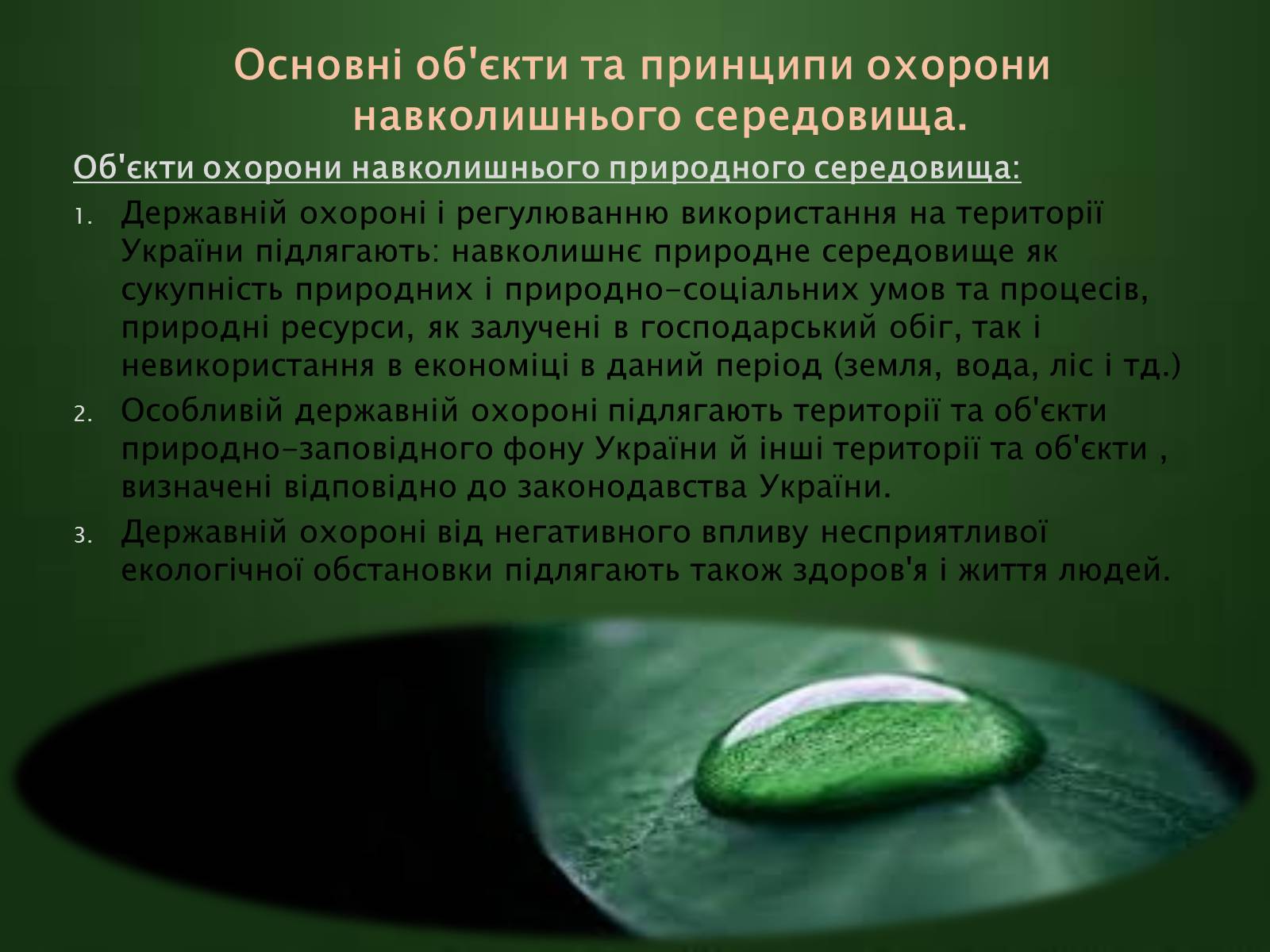 Презентація на тему «Охорона навколишнього середовища» (варіант 1) - Слайд #4 Презентація на тему «Охорона навколишнього середовища» (варіант 1) - Слайд #4