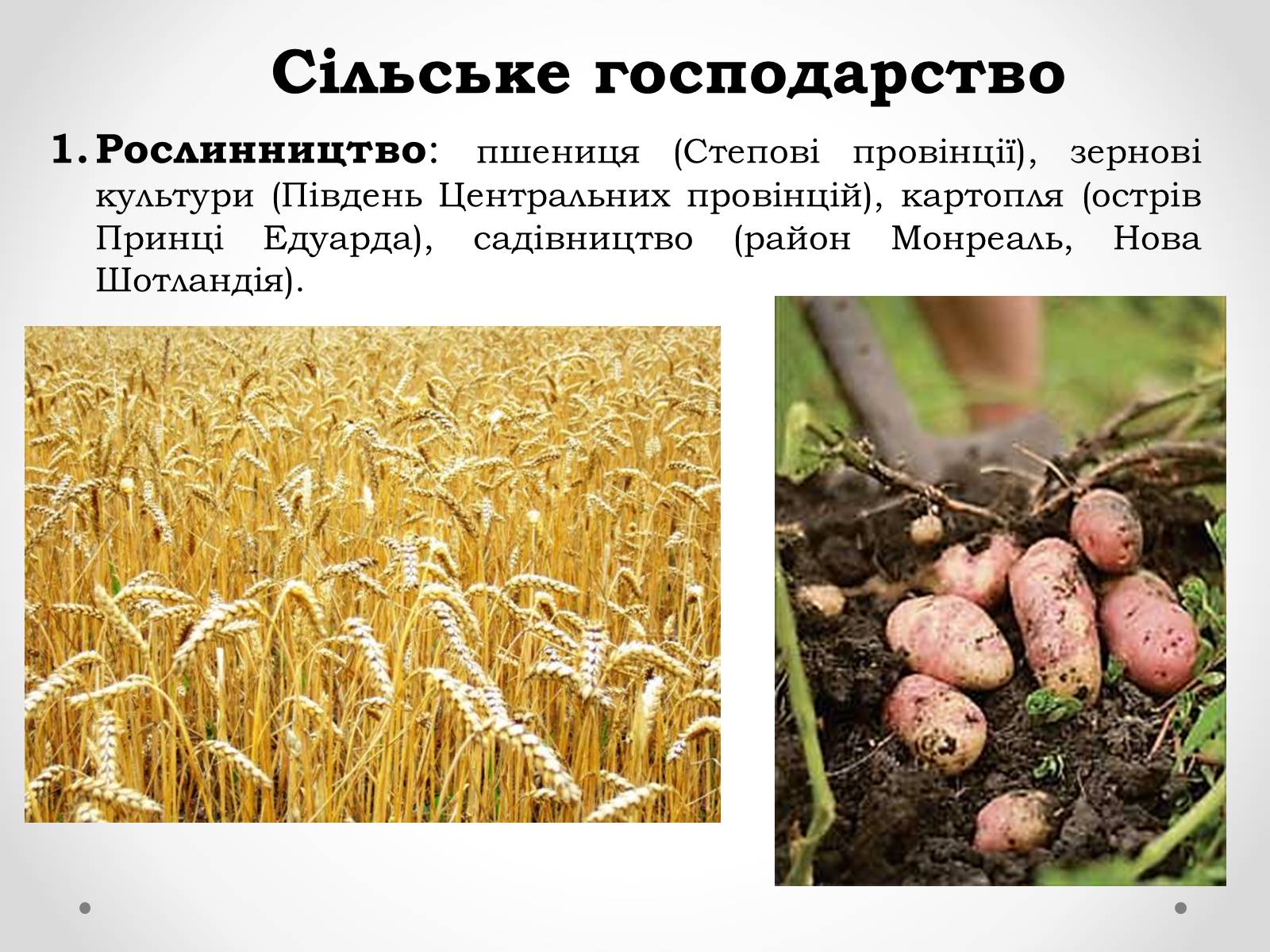 Презентація на тему «Канада» (варіант 16) - Слайд #18 Презентація на тему «Канада» (варіант 16) - Слайд #18