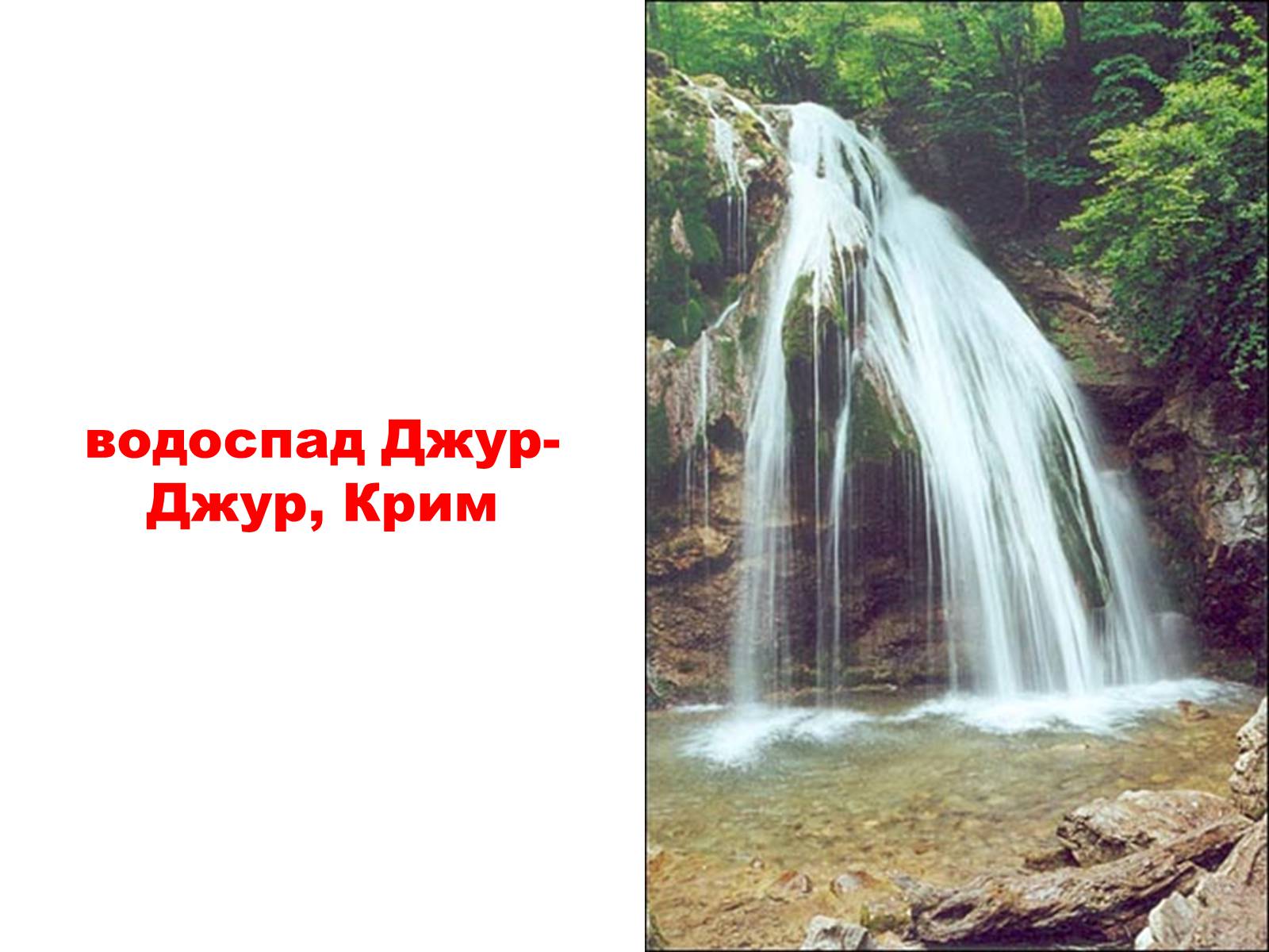 Презентація на тему «Природа України» - Слайд #31 Презентація на тему «Природа України» - Слайд #31