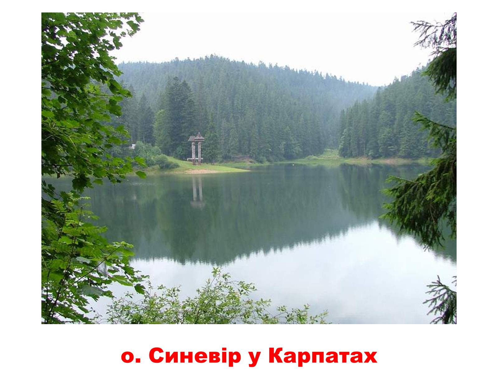 Презентація на тему «Природа України» - Слайд #4 Презентація на тему «Природа України» - Слайд #4