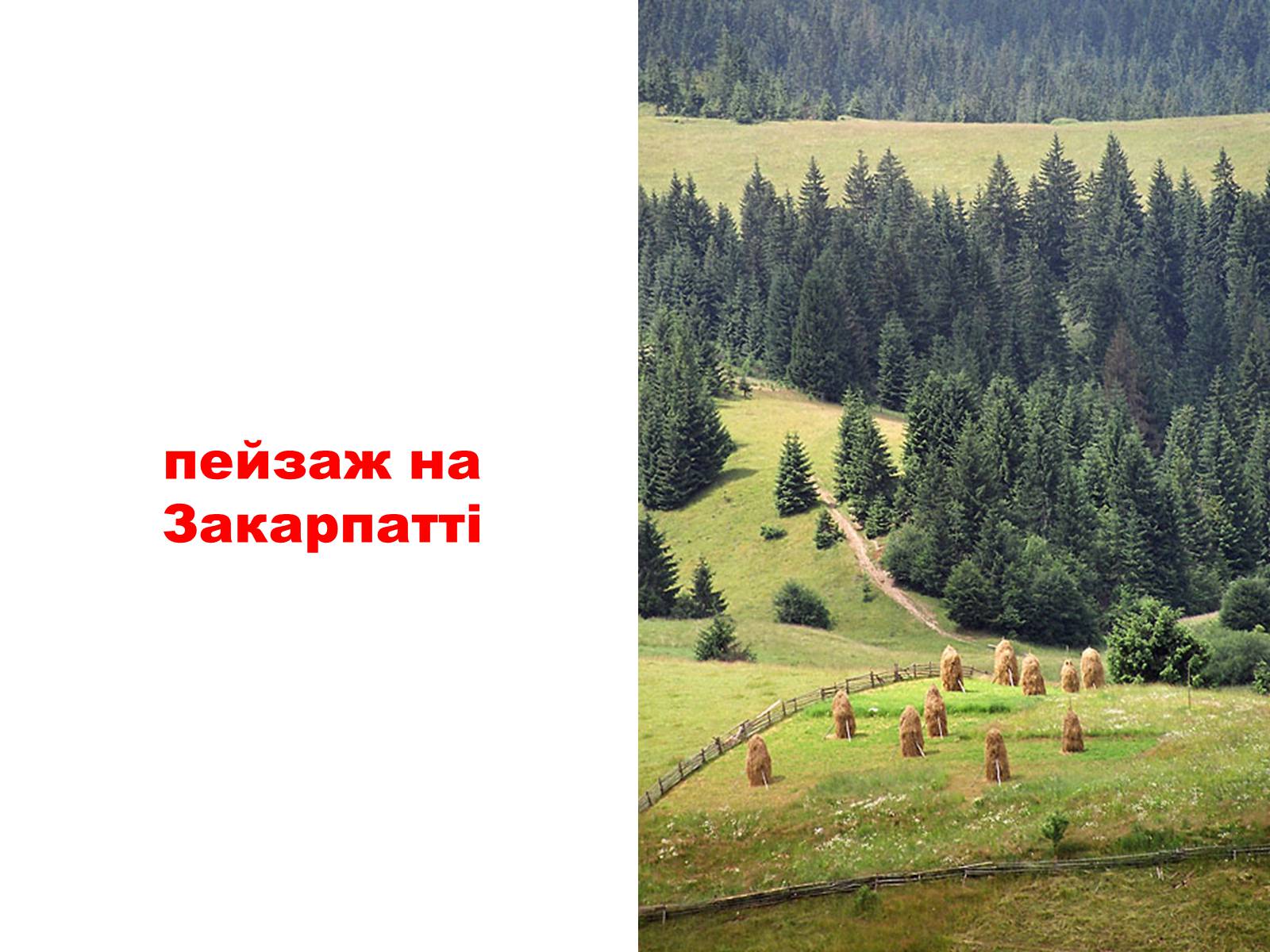 Презентація на тему «Природа України» - Слайд #8 Презентація на тему «Природа України» - Слайд #8
