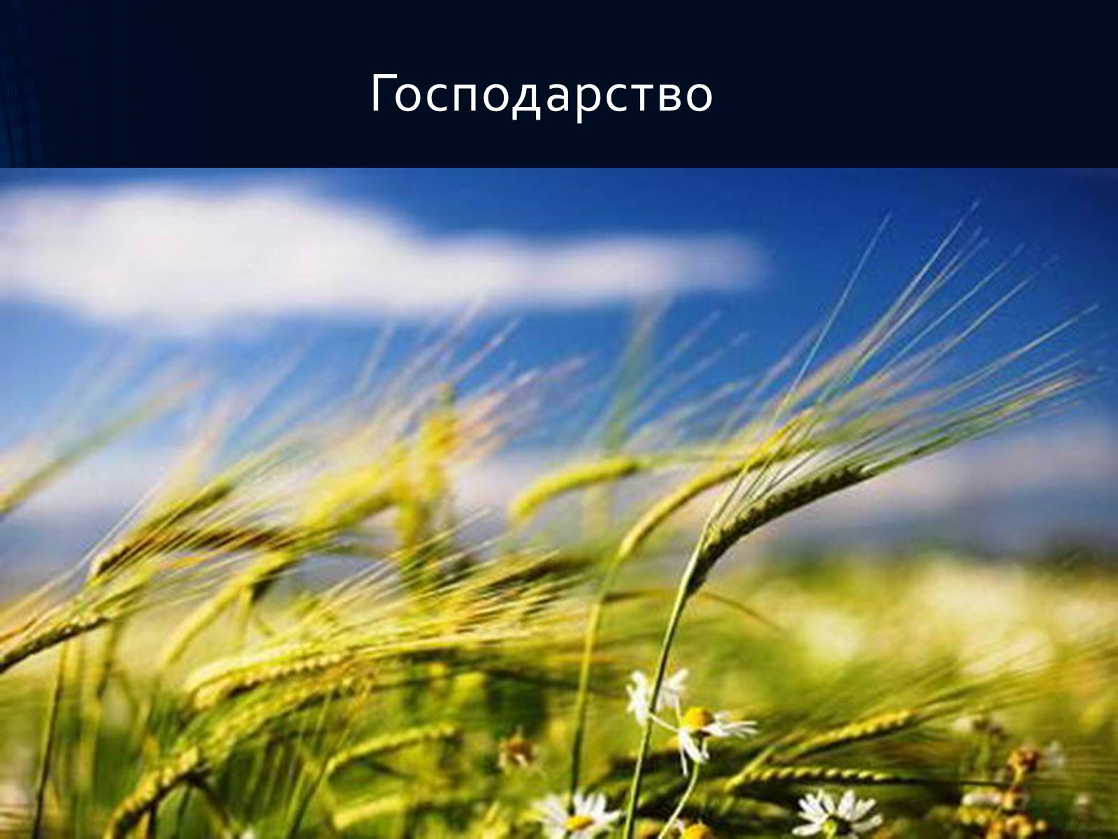 Презентація на тему «Італія» (варіант 36) - Слайд #15 Презентація на тему «Італія» (варіант 36) - Слайд #15