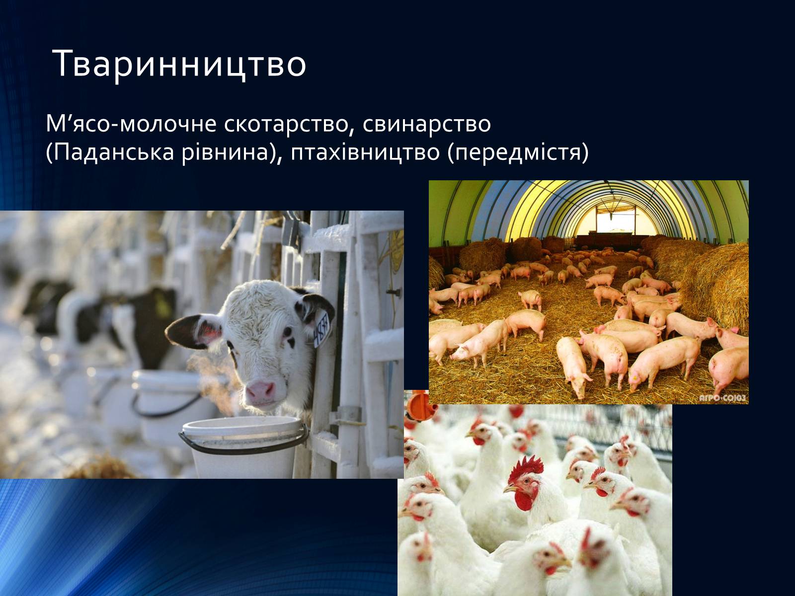 Презентація на тему «Італія» (варіант 36) - Слайд #16 Презентація на тему «Італія» (варіант 36) - Слайд #16