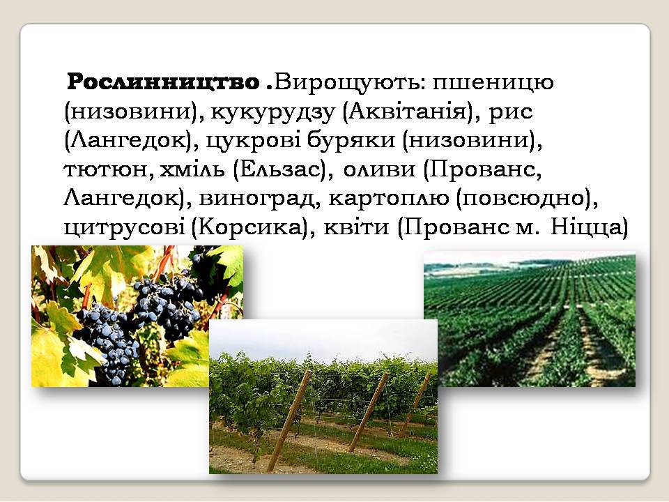 Презентація на тему «Франція» (варіант 36) - Слайд #16 Презентація на тему «Франція» (варіант 36) - Слайд #16