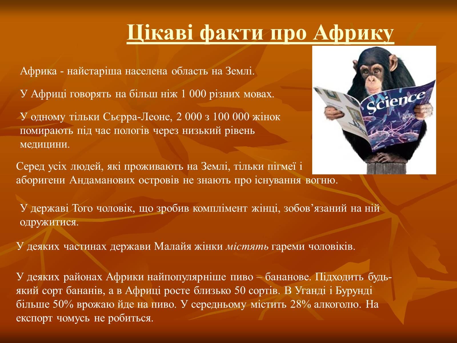 Презентація на тему «Африка» (варіант 4) - Слайд #24 Презентація на тему «Африка» (варіант 4) - Слайд #24