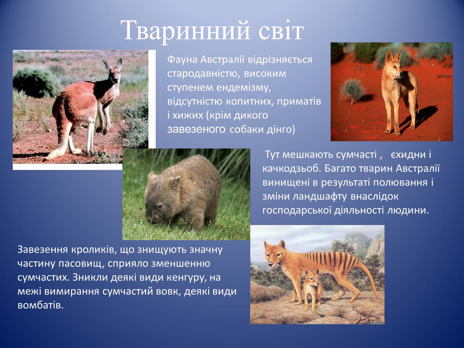 Презентація на тему «Австралія» (варіант 13) - Слайд #10 Презентація на тему «Австралія» (варіант 13) - Слайд #10