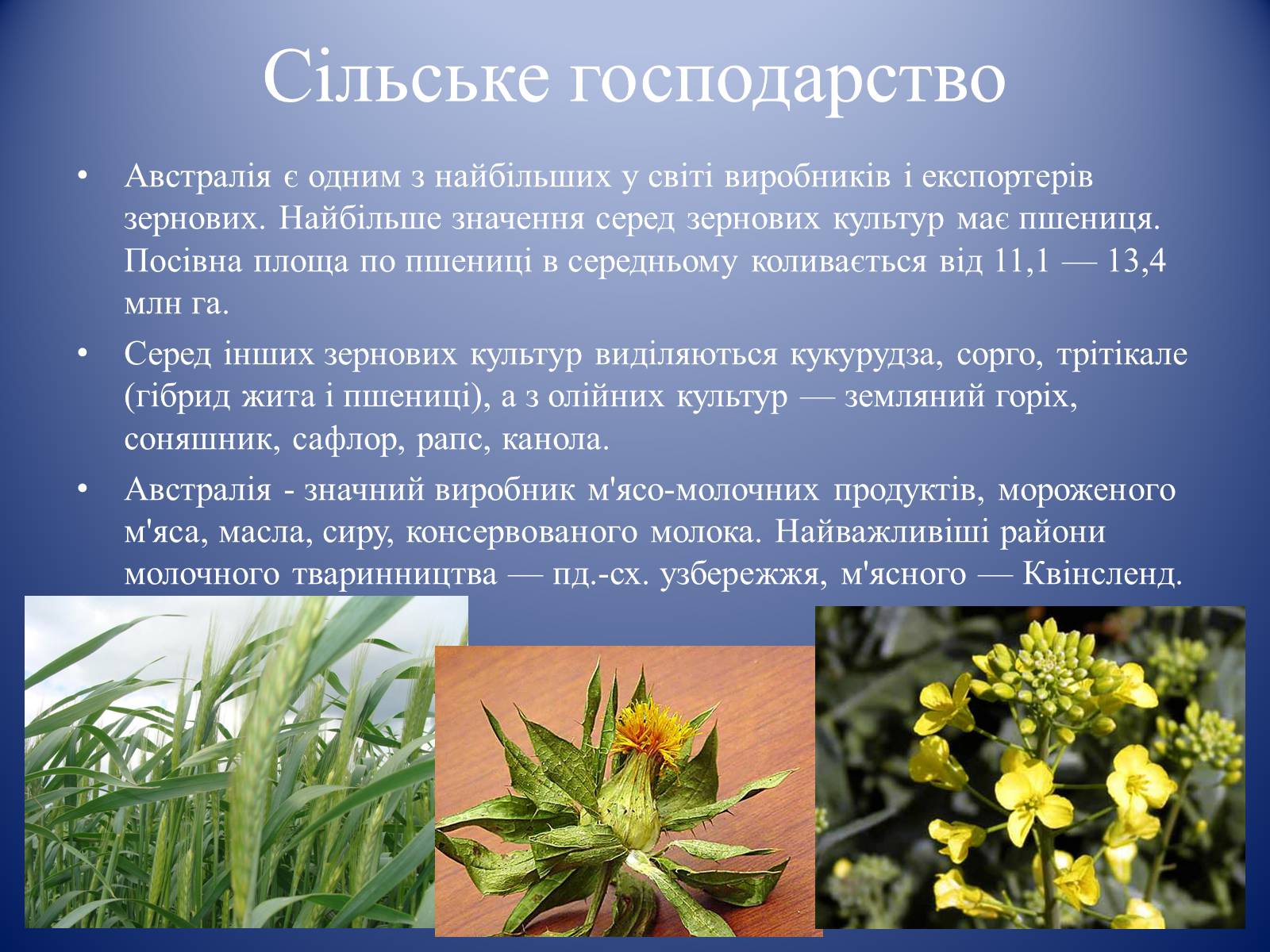 Презентація на тему «Австралія» (варіант 13) - Слайд #18 Презентація на тему «Австралія» (варіант 13) - Слайд #18