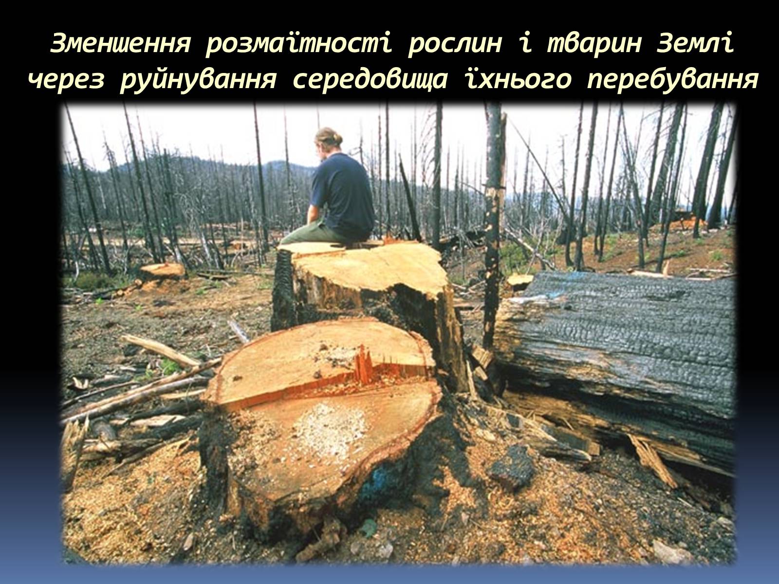 Презентація на тему «Екологічні проблеми людства» (варіант 5) - Слайд #5 Презентація на тему «Екологічні проблеми людства» (варіант 5) - Слайд #5
