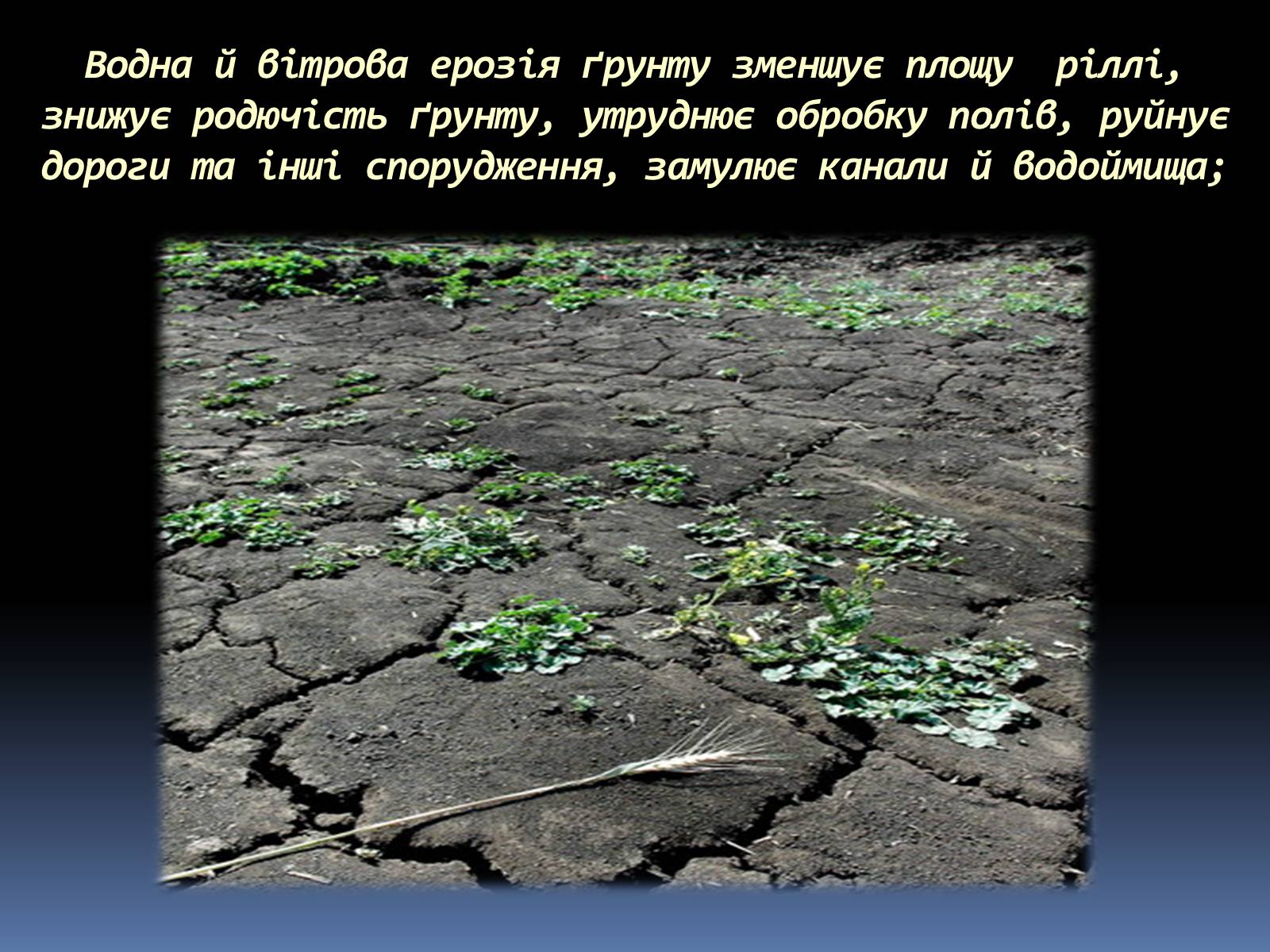 Презентація на тему «Екологічні проблеми людства» (варіант 5) - Слайд #6 Презентація на тему «Екологічні проблеми людства» (варіант 5) - Слайд #6