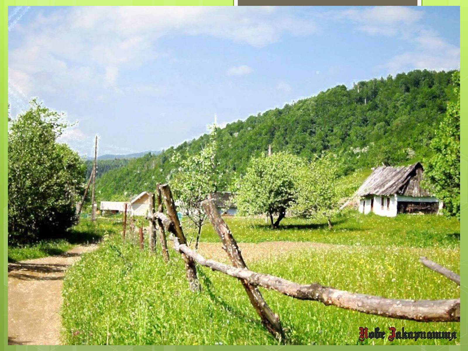 Презентація на тему «Екологічна ситуація в Україні» (варіант 2) - Слайд #22 Презентація на тему «Екологічна ситуація в Україні» (варіант 2) - Слайд #22