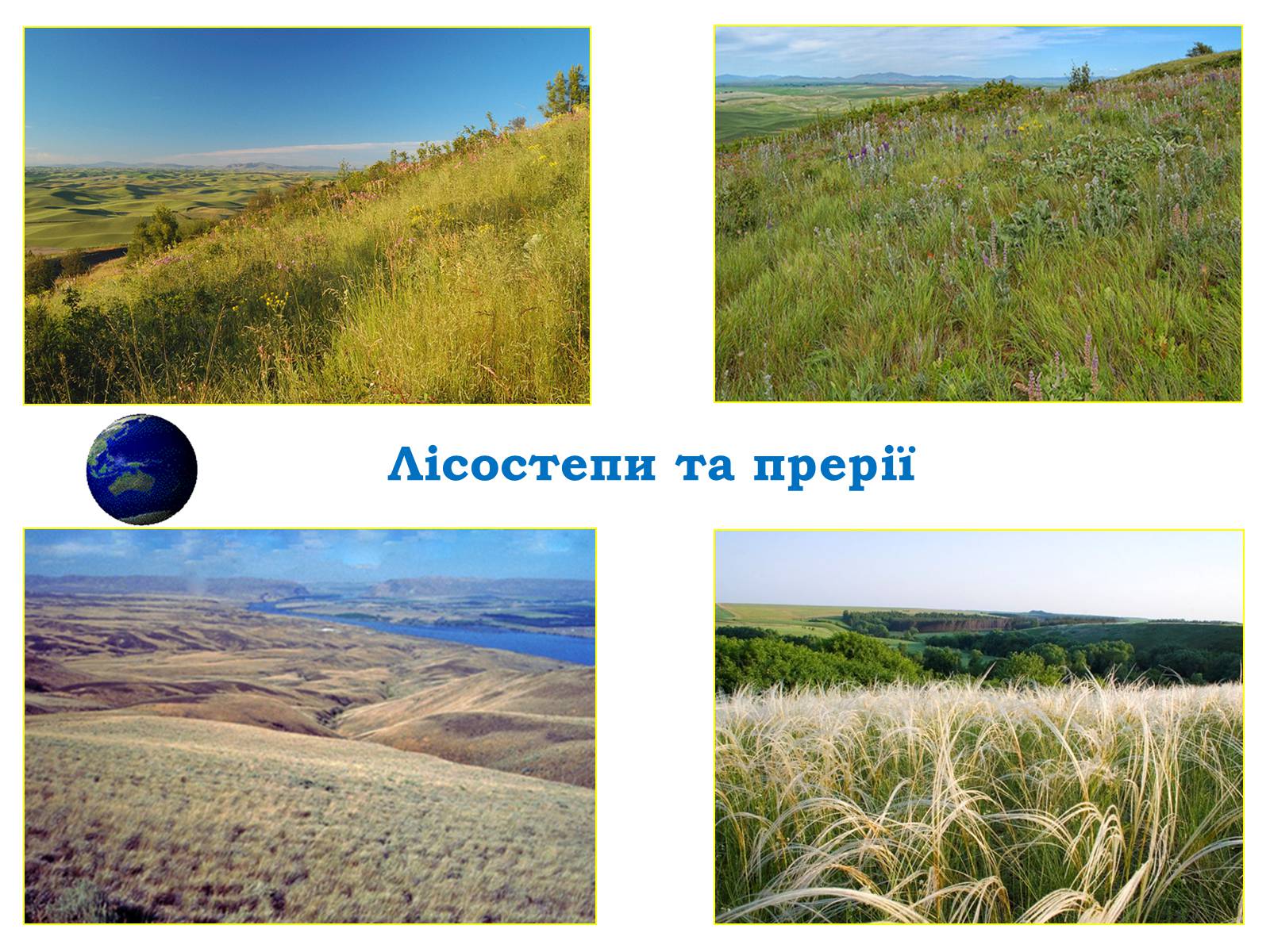 Презентація на тему «Північна америка» (варіант 3) - Слайд #56 Презентація на тему «Північна америка» (варіант 3) - Слайд #56
