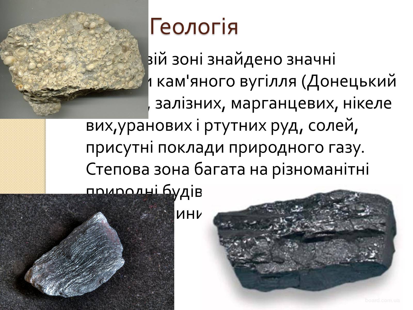 Презентація на тему «Степ України» - Слайд #4 Презентація на тему «Степ України» - Слайд #4