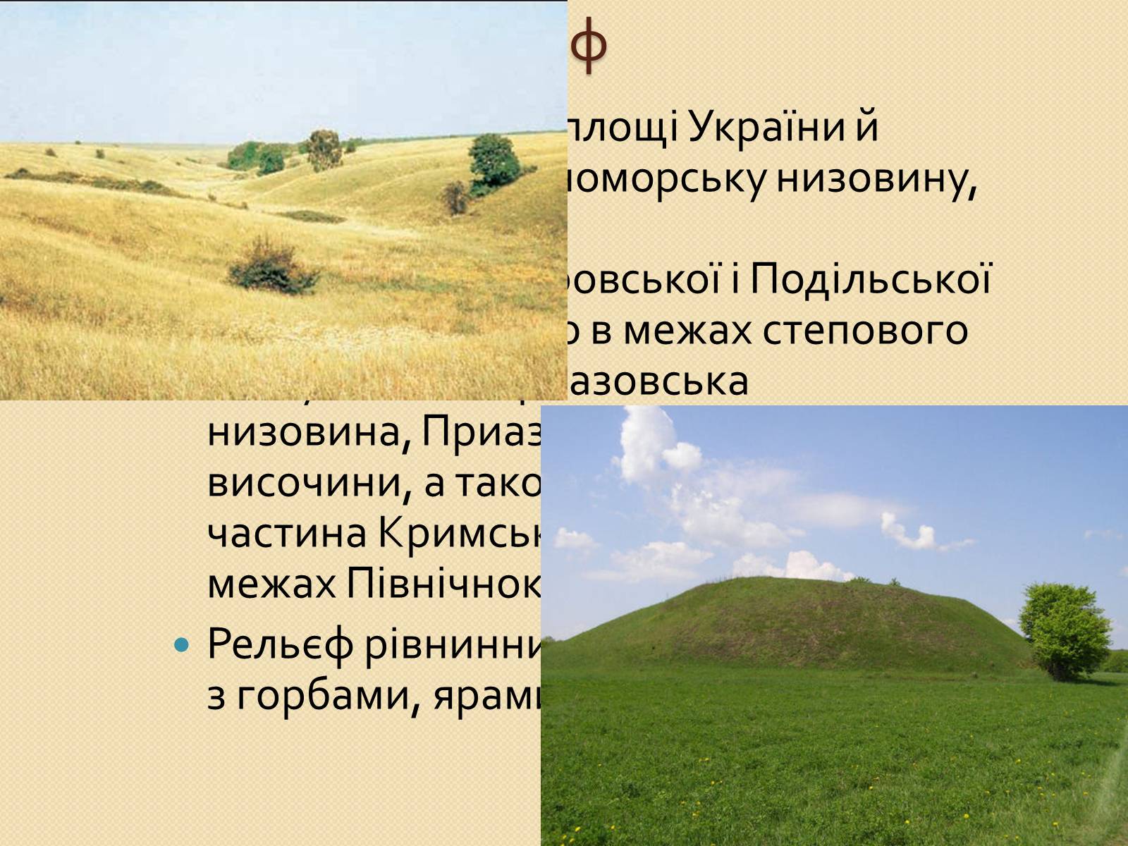 Презентація на тему «Степ України» - Слайд #5 Презентація на тему «Степ України» - Слайд #5