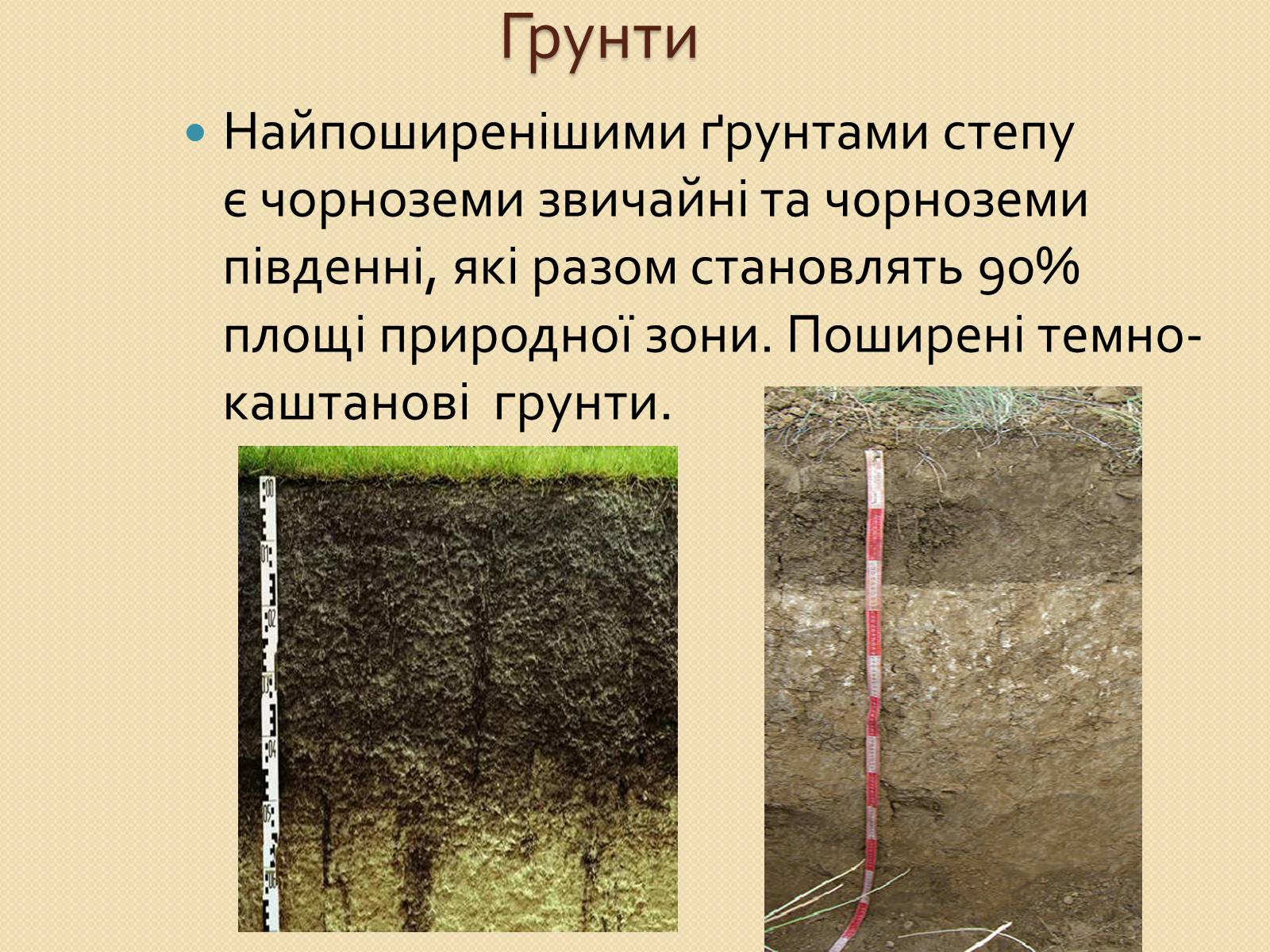 Презентація на тему «Степ України» - Слайд #8 Презентація на тему «Степ України» - Слайд #8