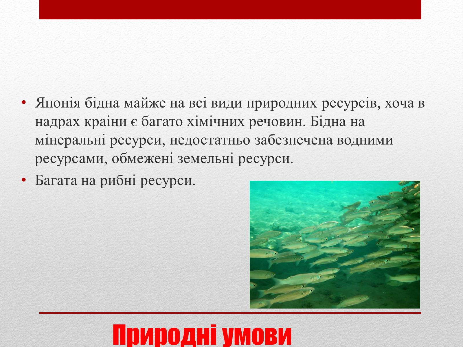 Презентація на тему «Японія» (варіант 22) - Слайд #6 Презентація на тему «Японія» (варіант 22) - Слайд #6