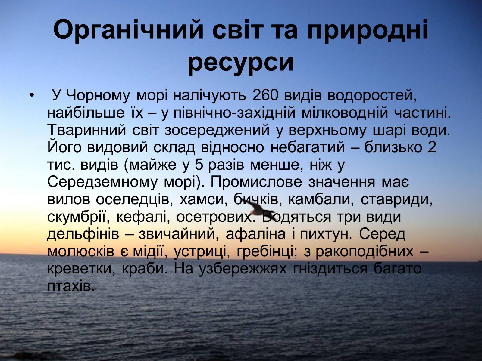Презентація на тему «Чорне море» (варіант 3) - Слайд #17 Презентація на тему «Чорне море» (варіант 3) - Слайд #17