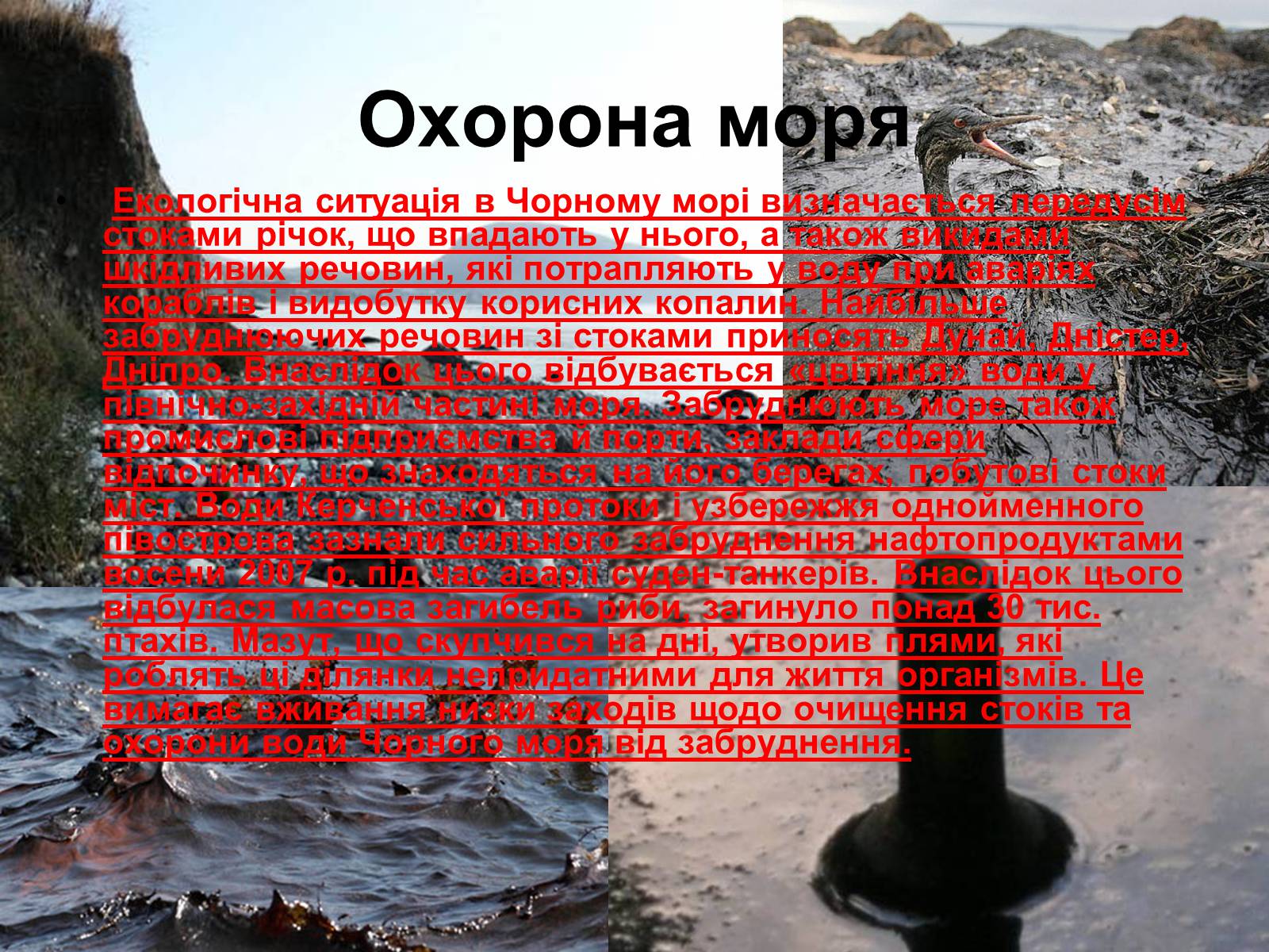 Презентація на тему «Чорне море» (варіант 3) - Слайд #19 Презентація на тему «Чорне море» (варіант 3) - Слайд #19