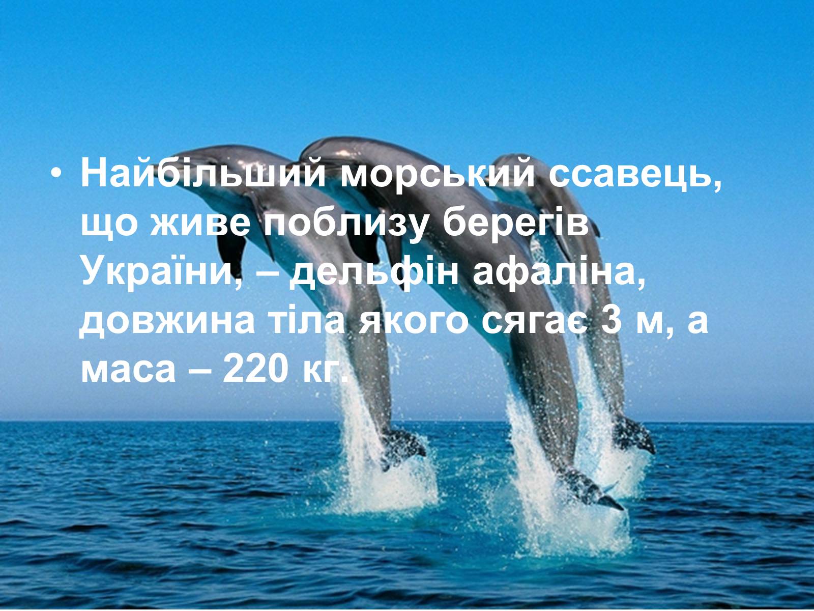 Презентація на тему «Чорне море» (варіант 3) - Слайд #21 Презентація на тему «Чорне море» (варіант 3) - Слайд #21