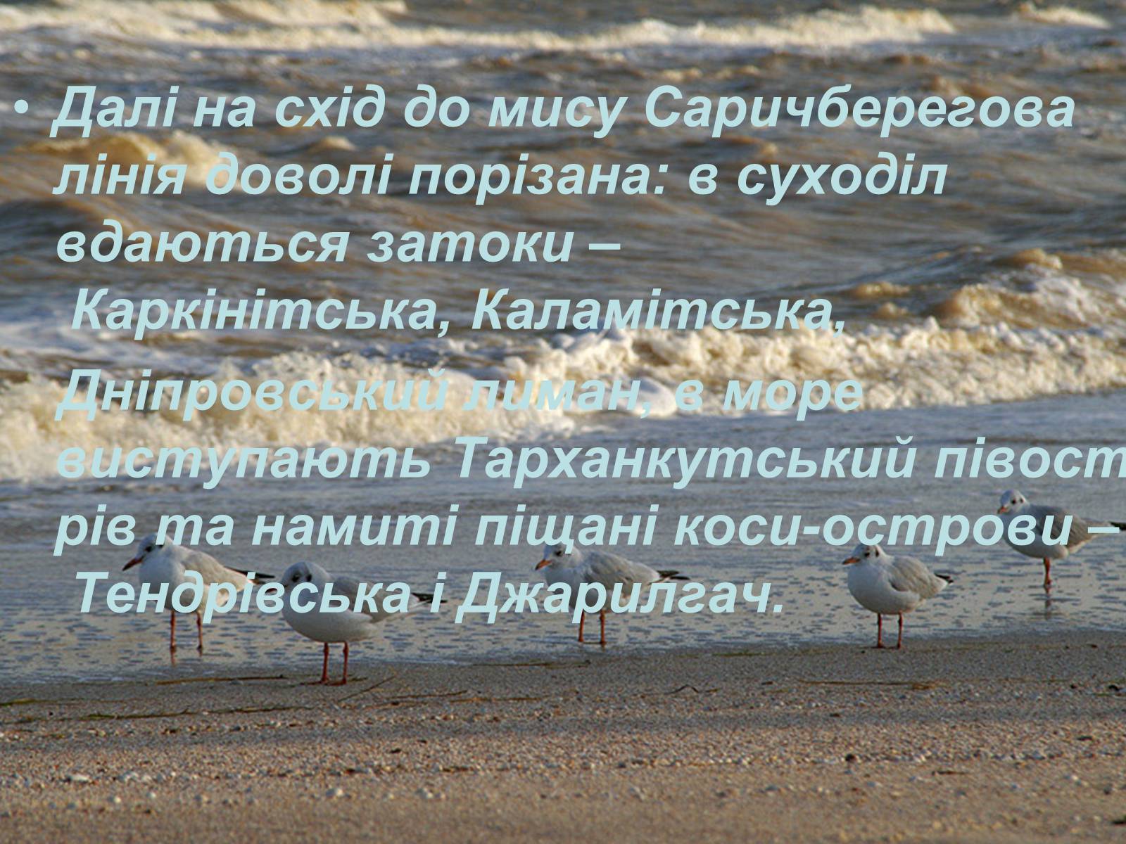 Презентація на тему «Чорне море» (варіант 3) - Слайд #5 Презентація на тему «Чорне море» (варіант 3) - Слайд #5