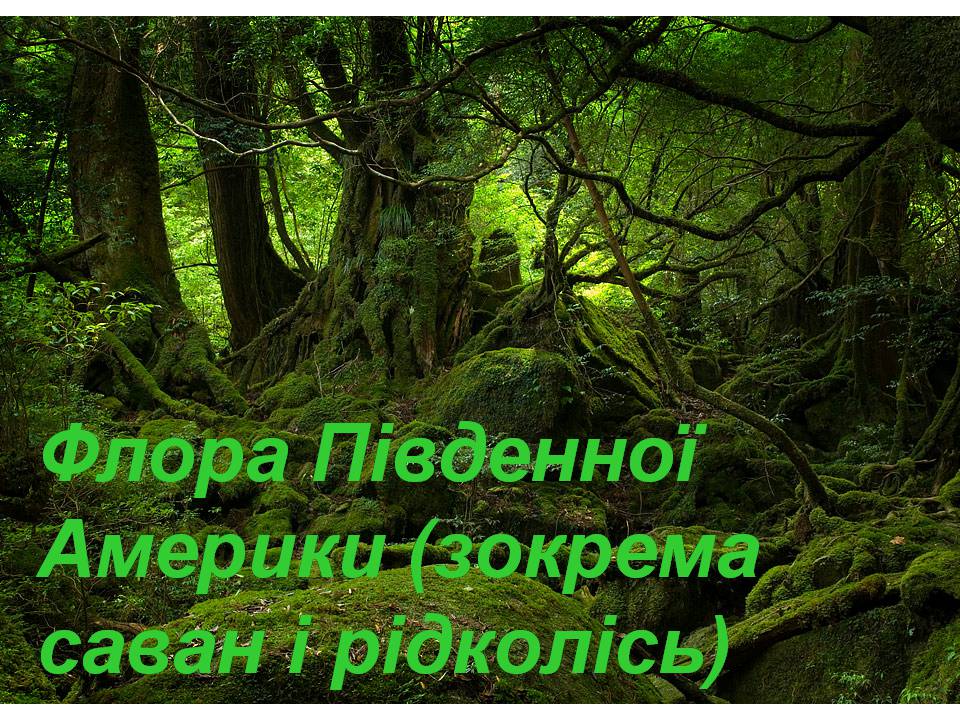 Презентація на тему «Південна Америка» (варіант 3) - Слайд #13 Презентація на тему «Південна Америка» (варіант 3) - Слайд #13