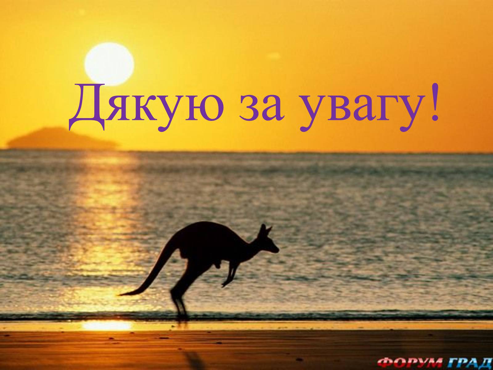 Презентація на тему «Тваринний світ Австралії» - Слайд #27 Презентація на тему «Тваринний світ Австралії» - Слайд #27