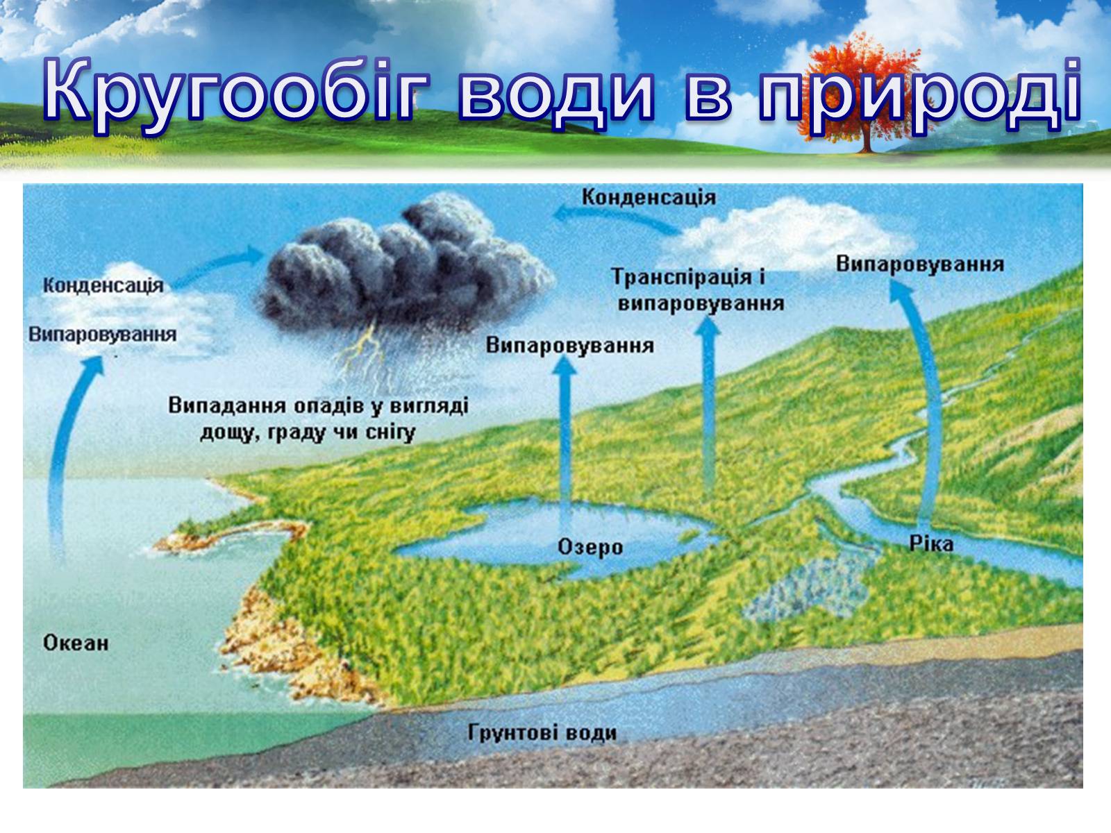Презентація на тему «Кругообіг води в природі» (варіант 2) - Слайд #8 Презентація на тему «Кругообіг води в природі» (варіант 2) - Слайд #8