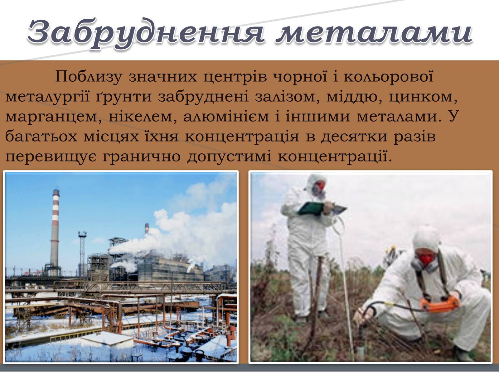 Презентація на тему «Забруднення ґрунтів» (варіант 1) - Слайд #10 Презентація на тему «Забруднення ґрунтів» (варіант 1) - Слайд #10