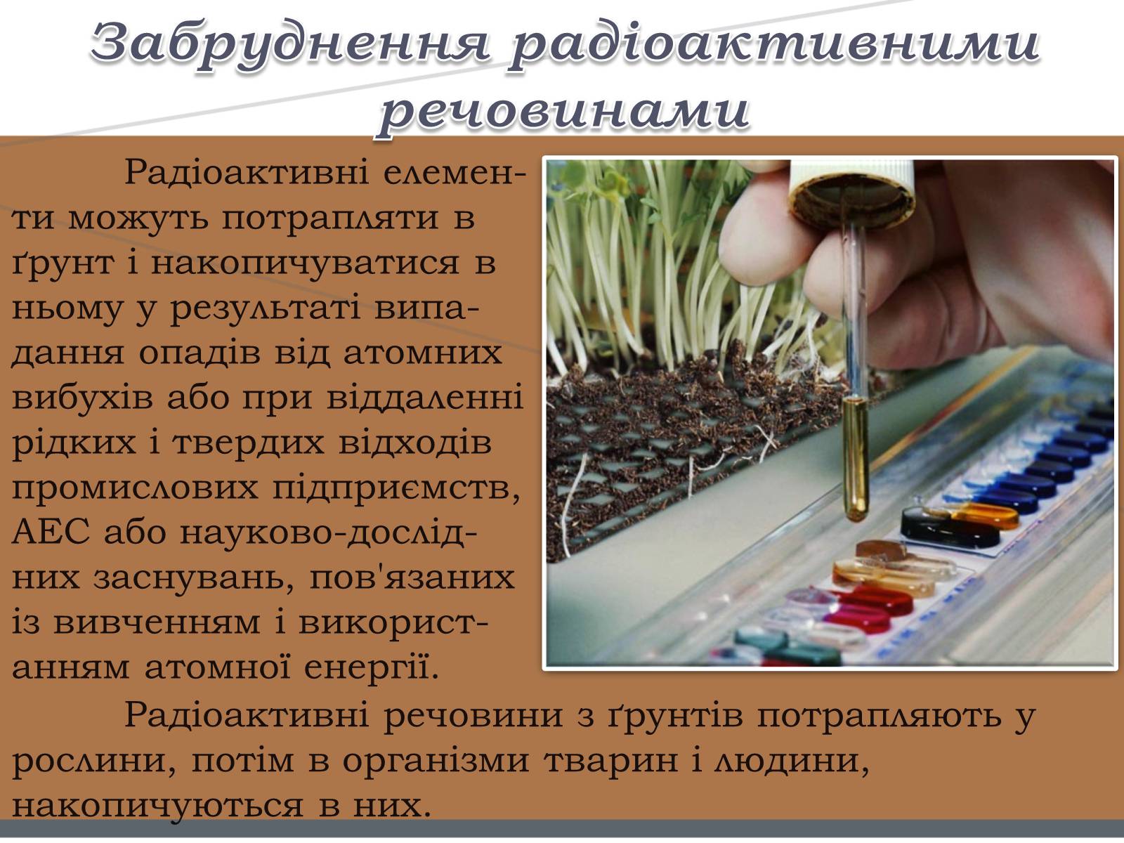Презентація на тему «Забруднення ґрунтів» (варіант 1) - Слайд #11 Презентація на тему «Забруднення ґрунтів» (варіант 1) - Слайд #11