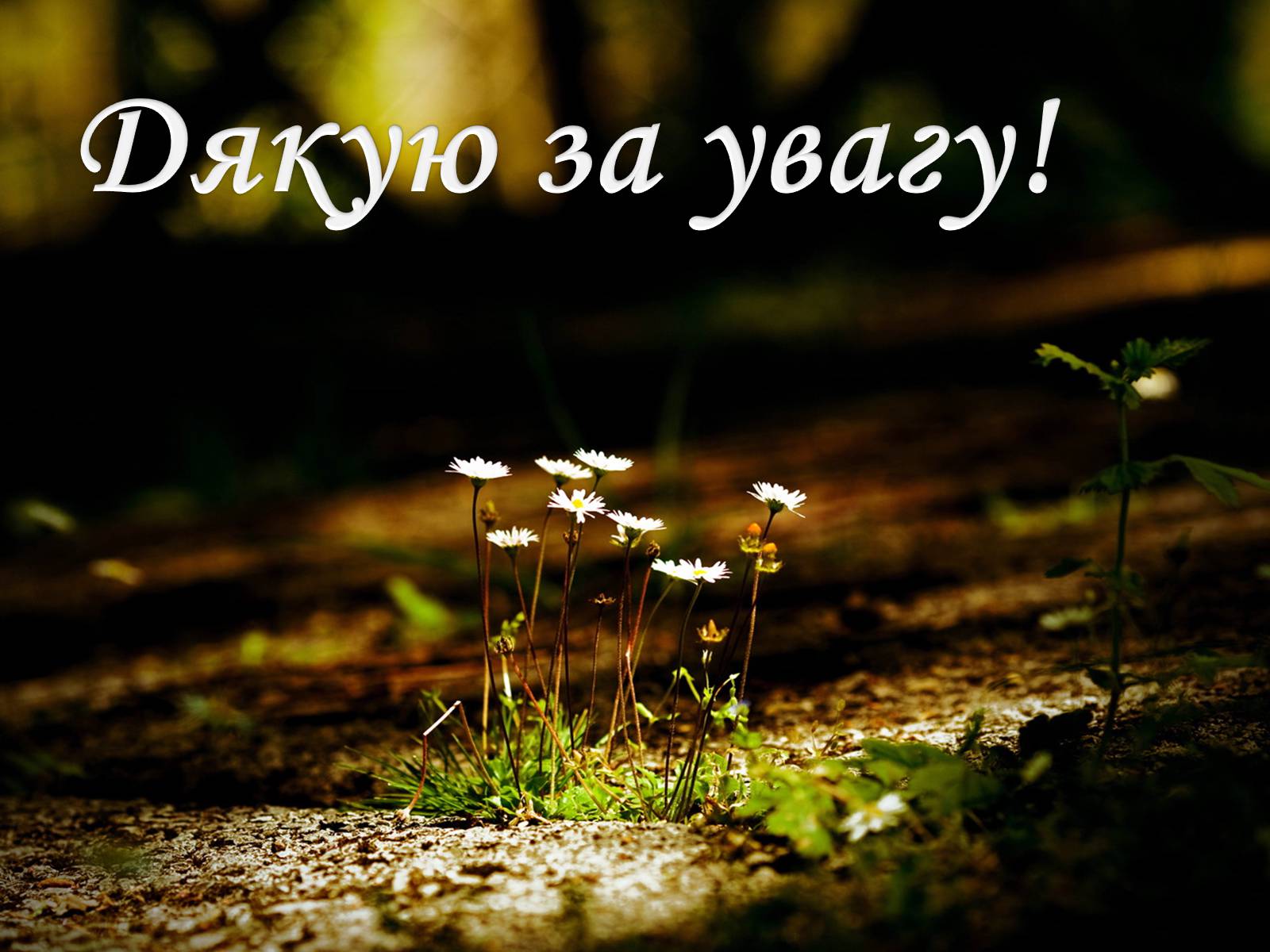 Презентація на тему «Забруднення ґрунтів» (варіант 1) - Слайд #15 Презентація на тему «Забруднення ґрунтів» (варіант 1) - Слайд #15