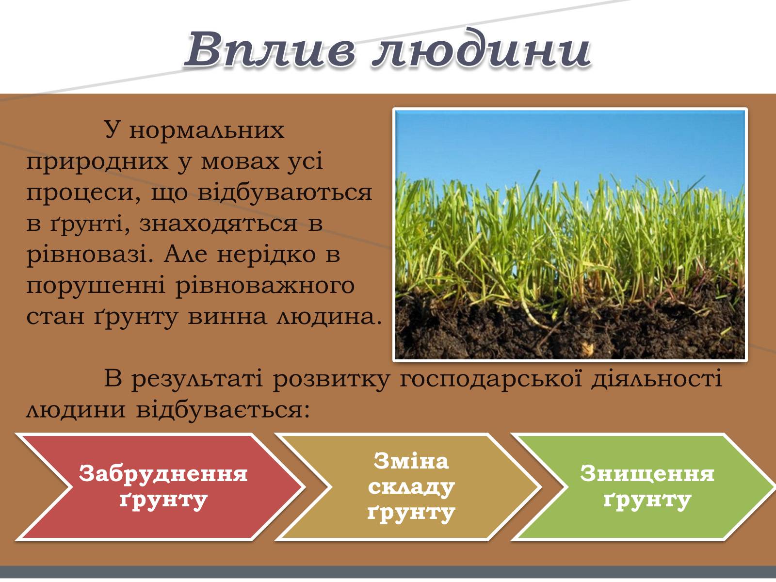 Презентація на тему «Забруднення ґрунтів» (варіант 1) - Слайд #3 Презентація на тему «Забруднення ґрунтів» (варіант 1) - Слайд #3