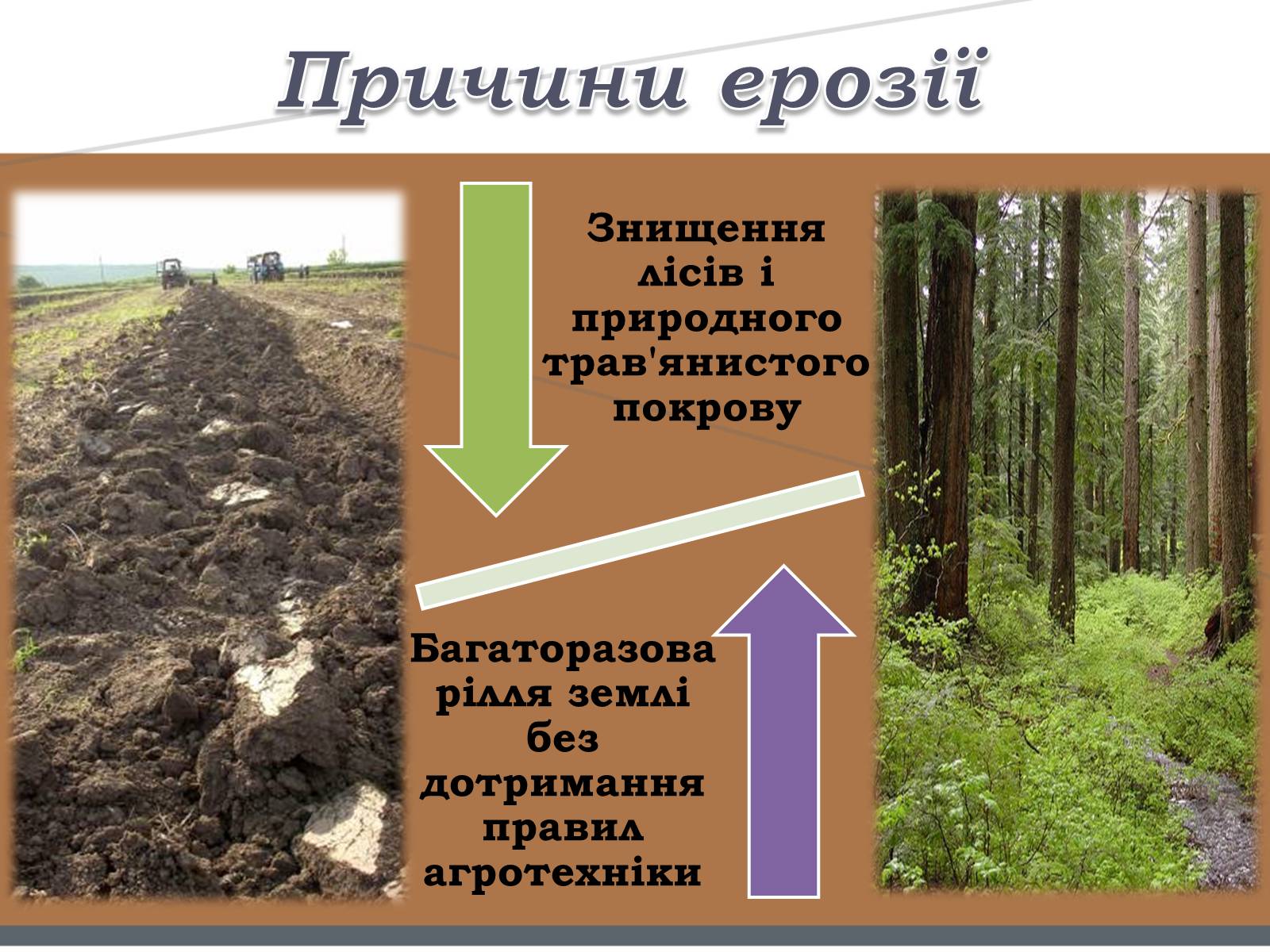 Презентація на тему «Забруднення ґрунтів» (варіант 1) - Слайд #6 Презентація на тему «Забруднення ґрунтів» (варіант 1) - Слайд #6