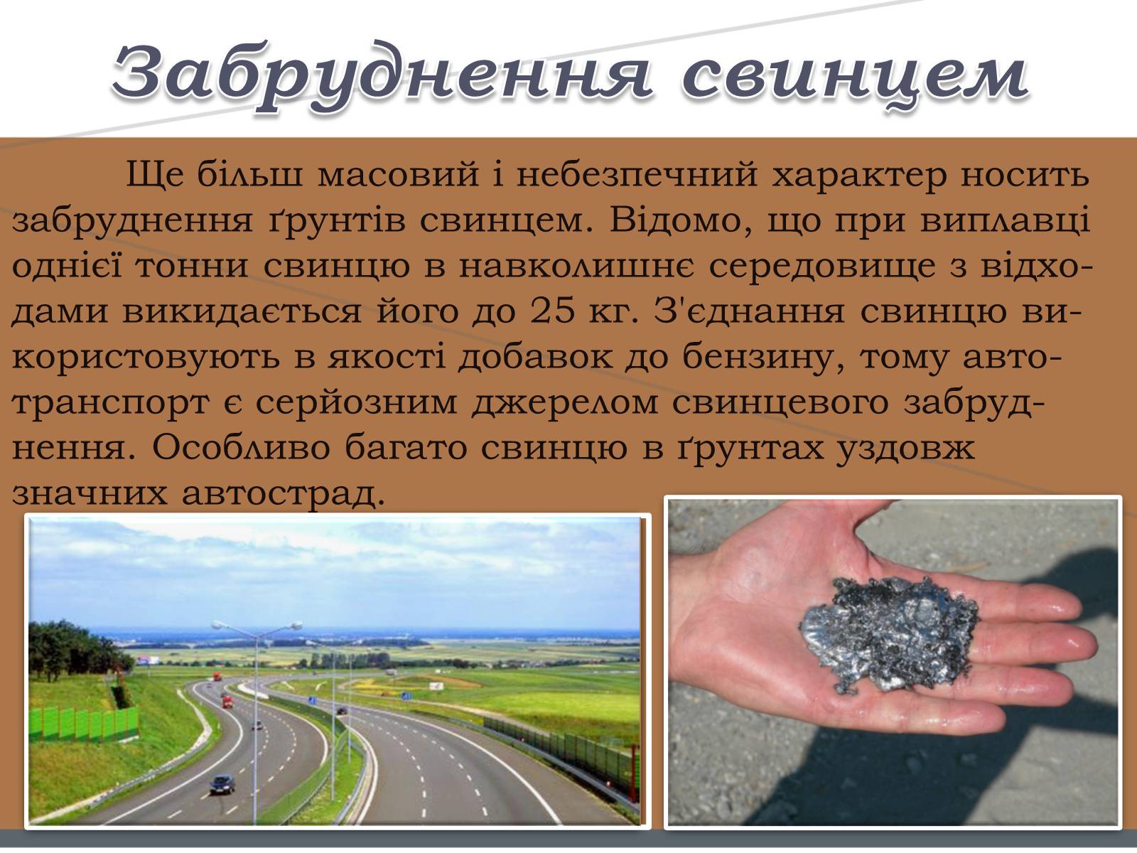 Презентація на тему «Забруднення ґрунтів» (варіант 1) - Слайд #9 Презентація на тему «Забруднення ґрунтів» (варіант 1) - Слайд #9