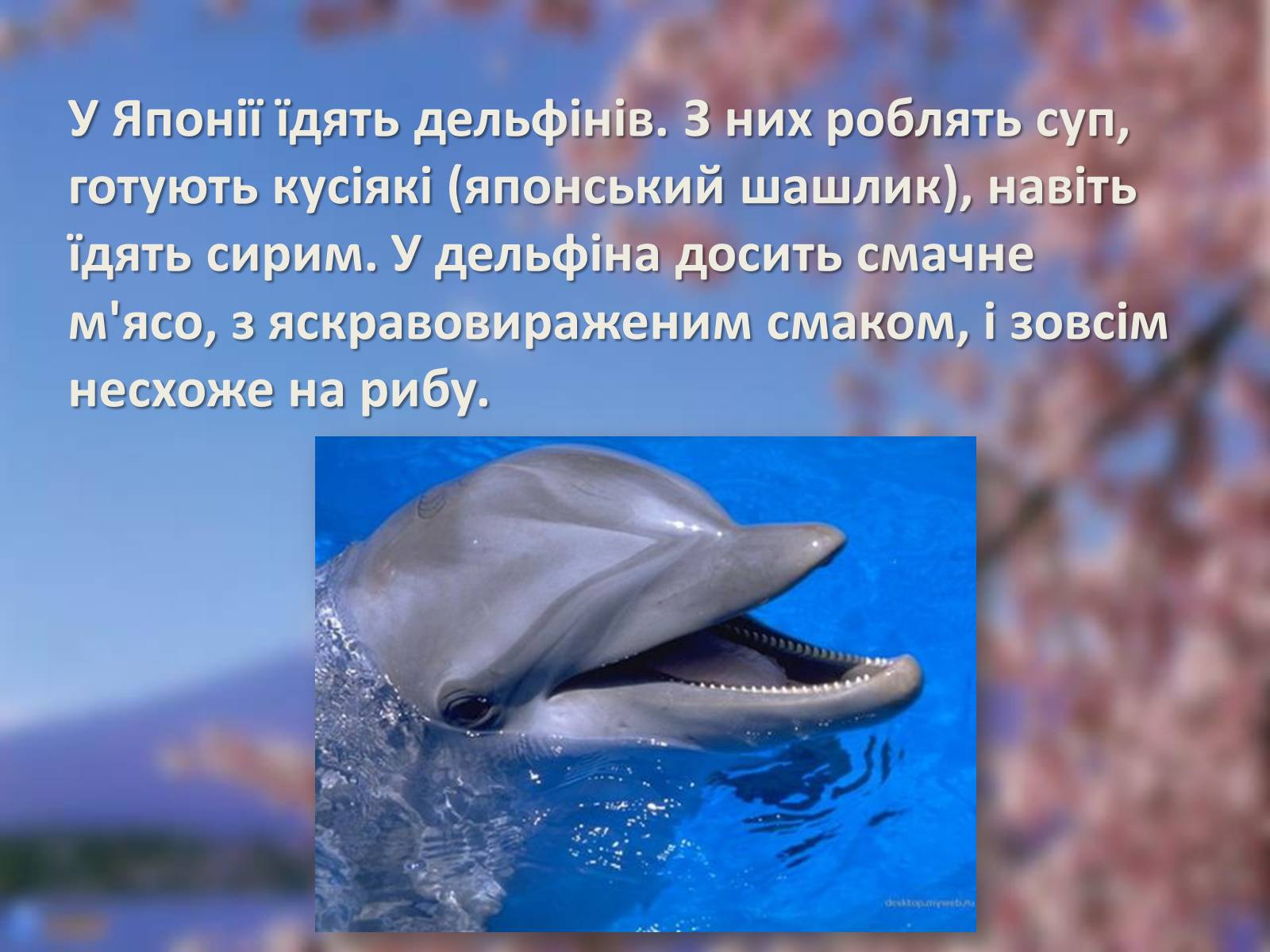 Презентація на тему «Японія. Цікаві факти» - Слайд #4 Презентація на тему «Японія. Цікаві факти» - Слайд #4