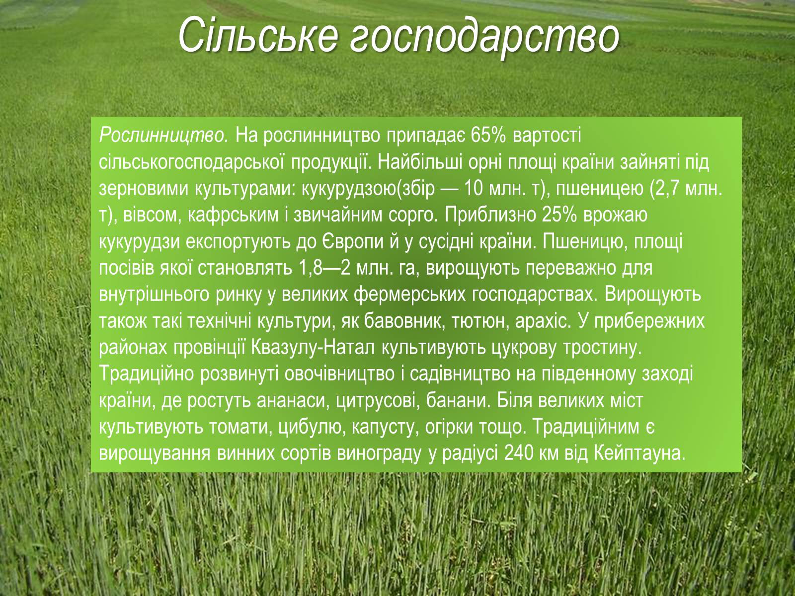 Презентація на тему «Південно-Африканська Республіка» (варіант 4) - Слайд #15 Презентація на тему «Південно-Африканська Республіка» (варіант 4) - Слайд #15