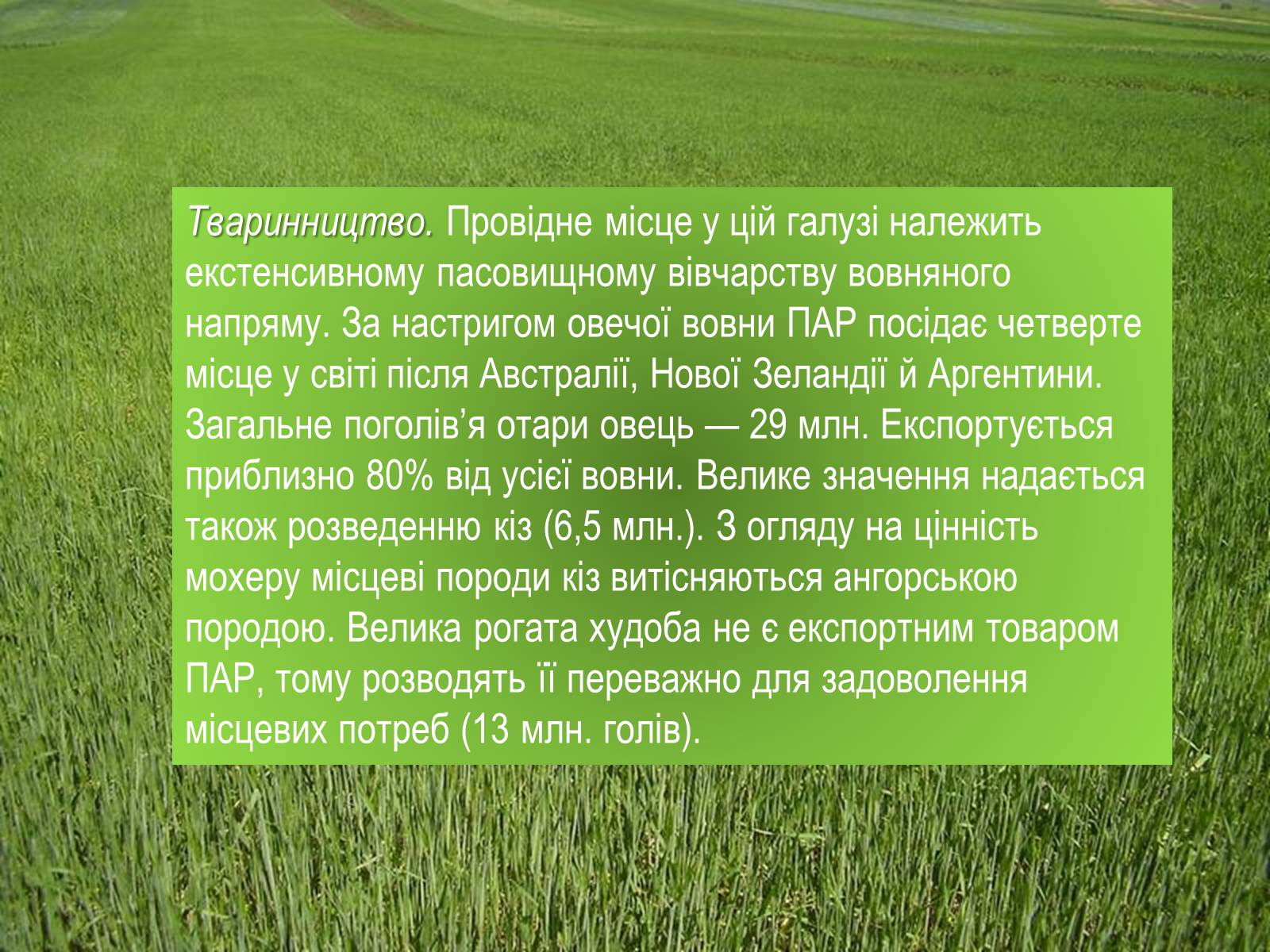 Презентація на тему «Південно-Африканська Республіка» (варіант 4) - Слайд #16 Презентація на тему «Південно-Африканська Республіка» (варіант 4) - Слайд #16