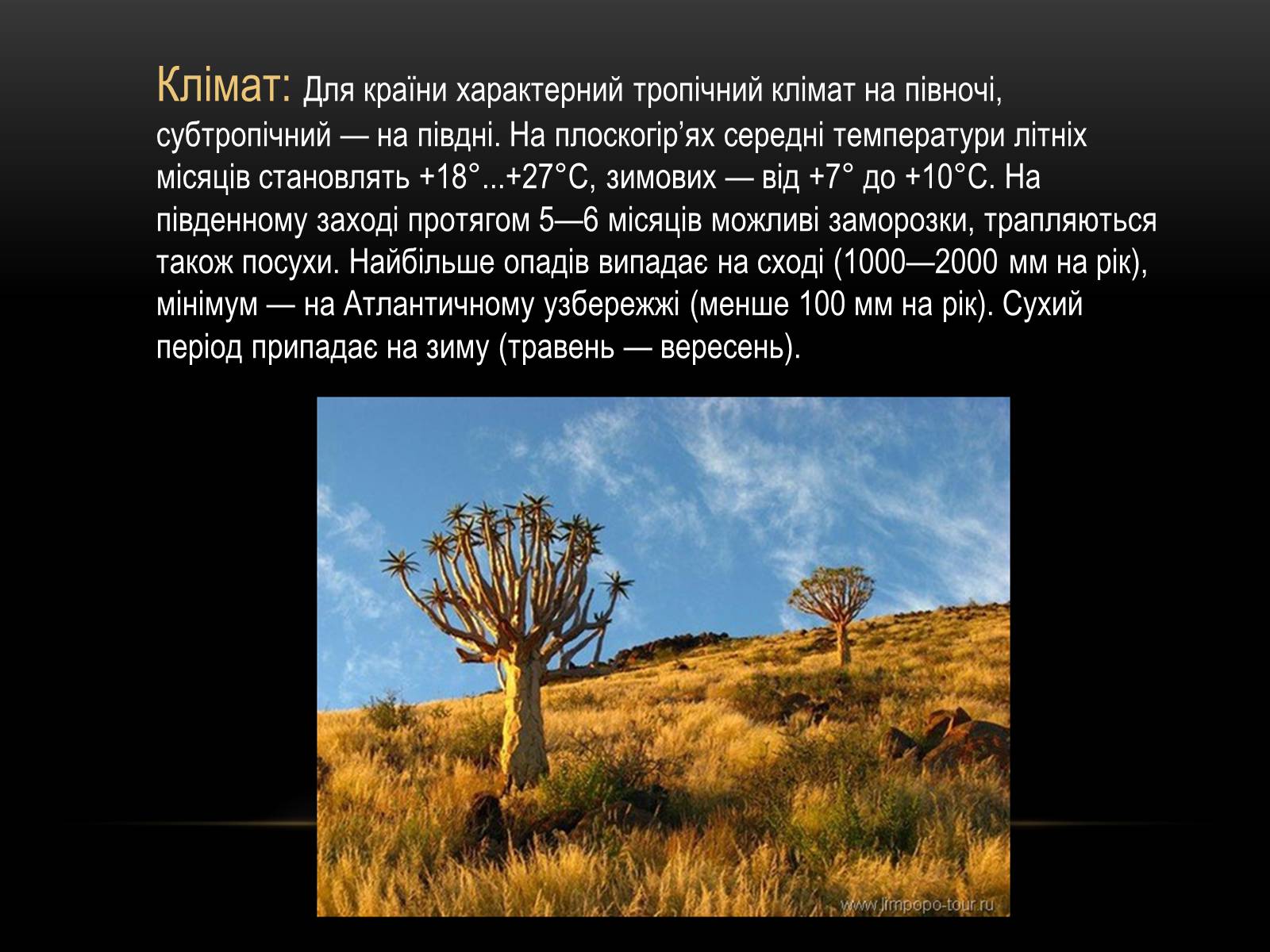 Презентація на тему «Південно-Африканська Республіка» (варіант 4) - Слайд #6 Презентація на тему «Південно-Африканська Республіка» (варіант 4) - Слайд #6