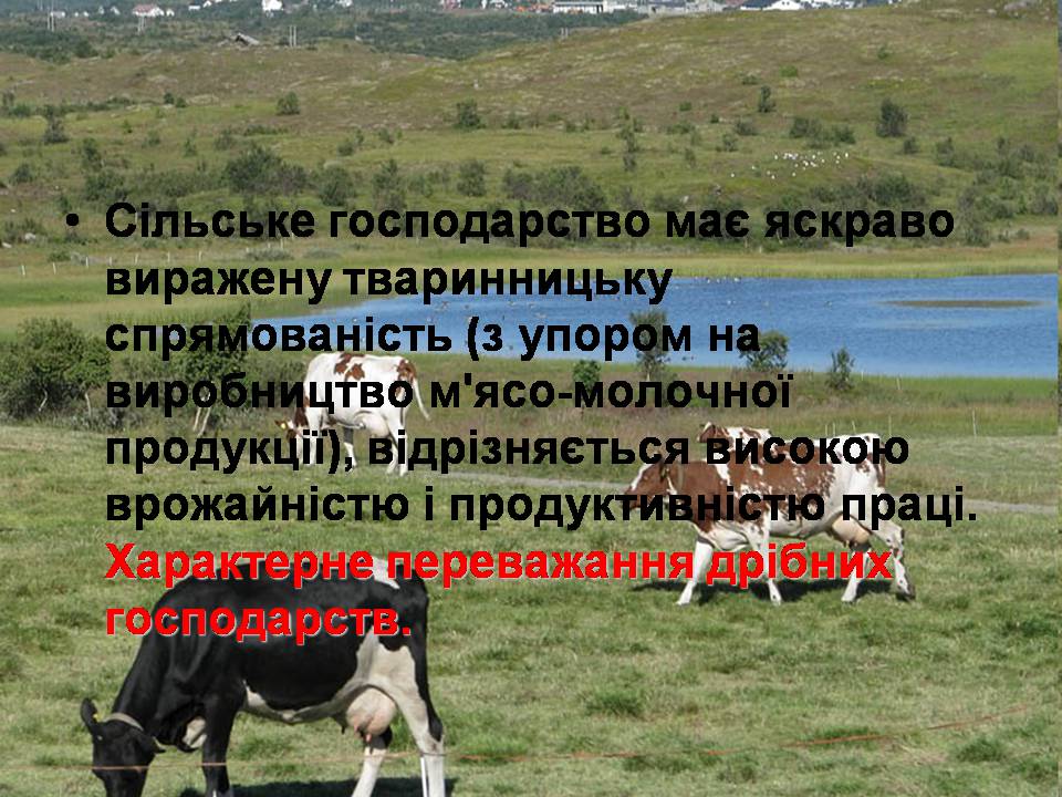 Презентація на тему «Швейцарія» - Слайд #20 Презентація на тему «Швейцарія» - Слайд #20