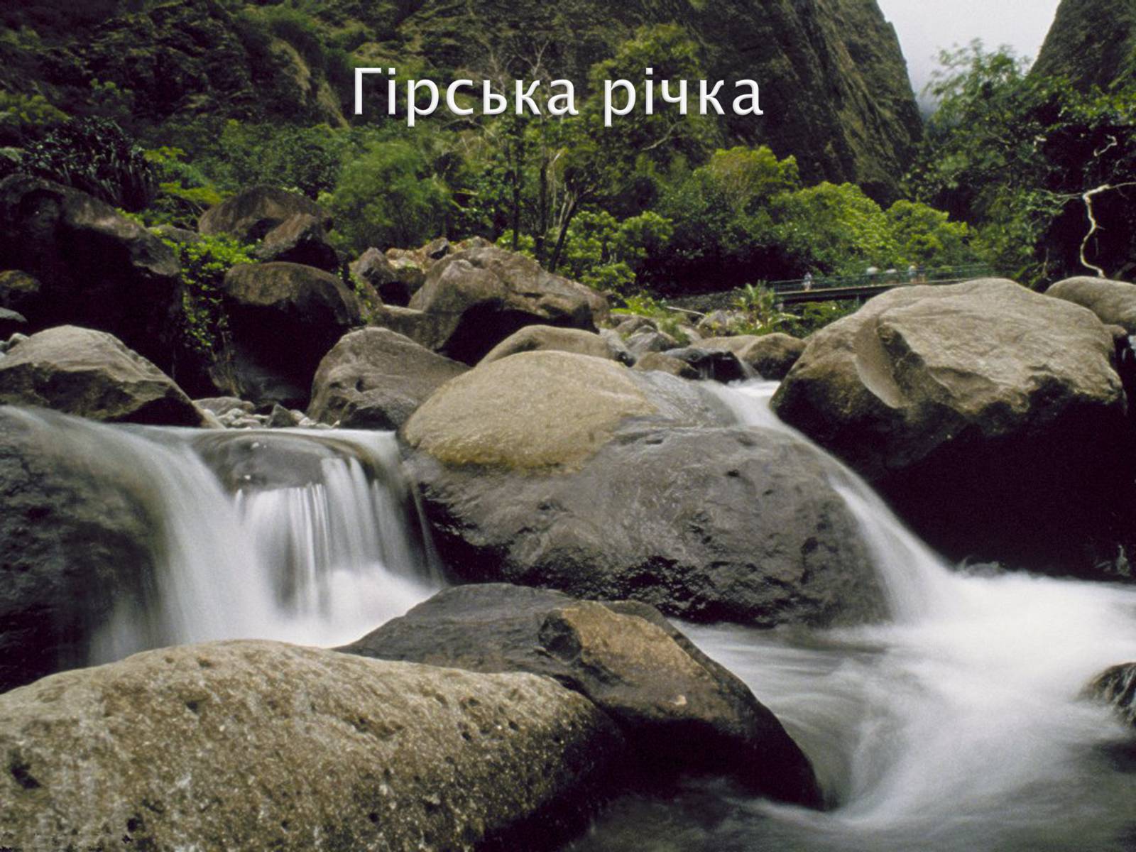 Презентація на тему «Річка» - Слайд #9