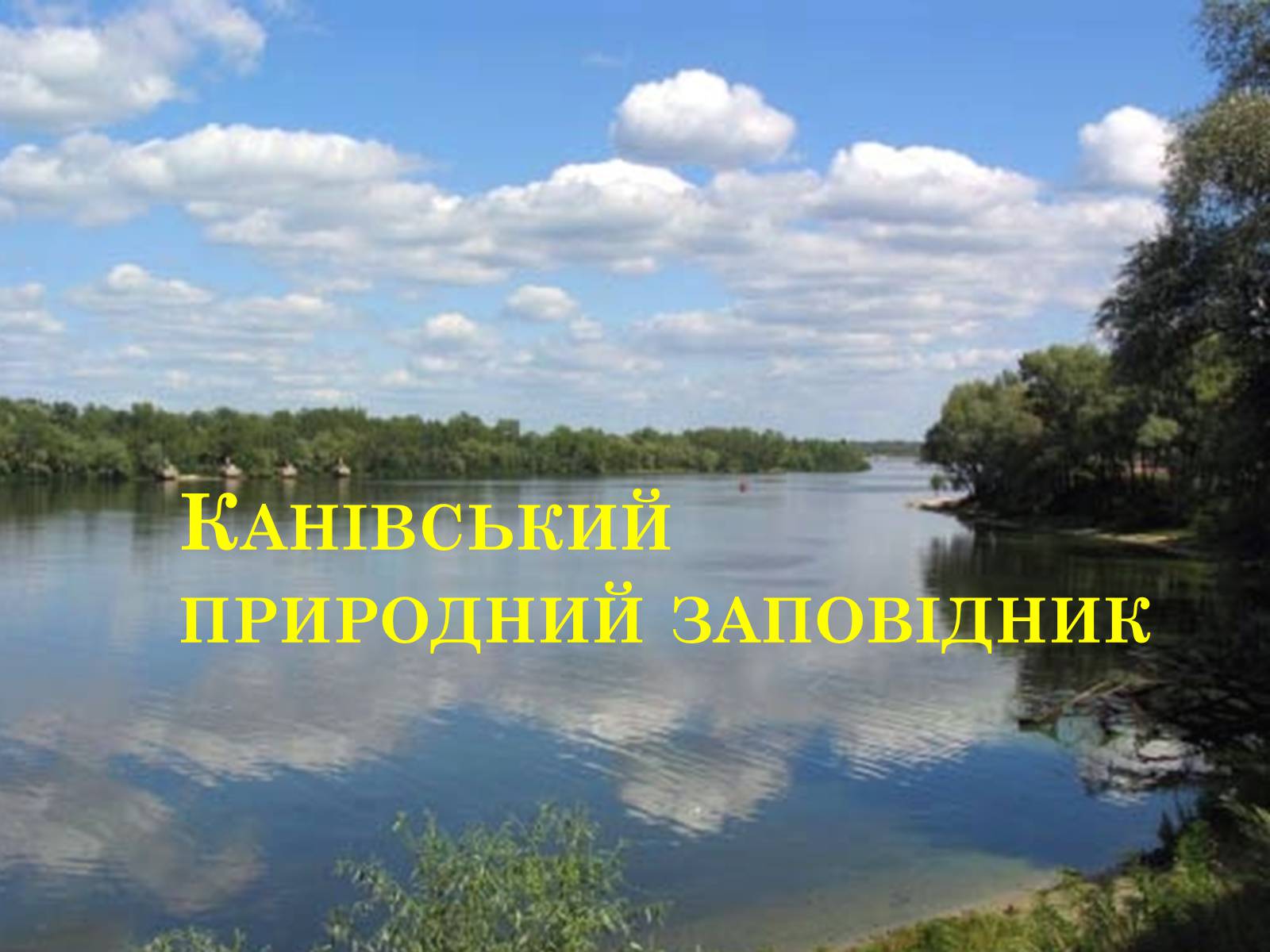 Презентація на тему «Канівський природний заповідник» - Слайд #1 Презентація на тему «Канівський природний заповідник» - Слайд #1
