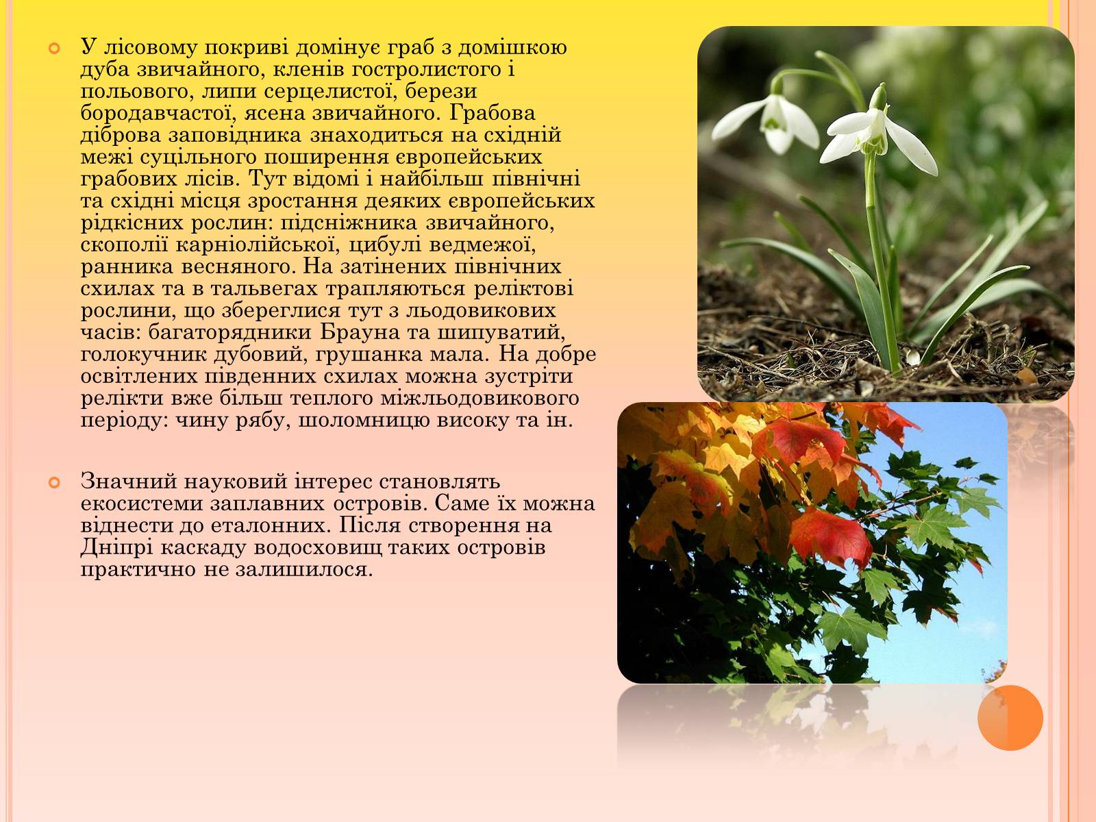 Презентація на тему «Канівський природний заповідник» - Слайд #11 Презентація на тему «Канівський природний заповідник» - Слайд #11