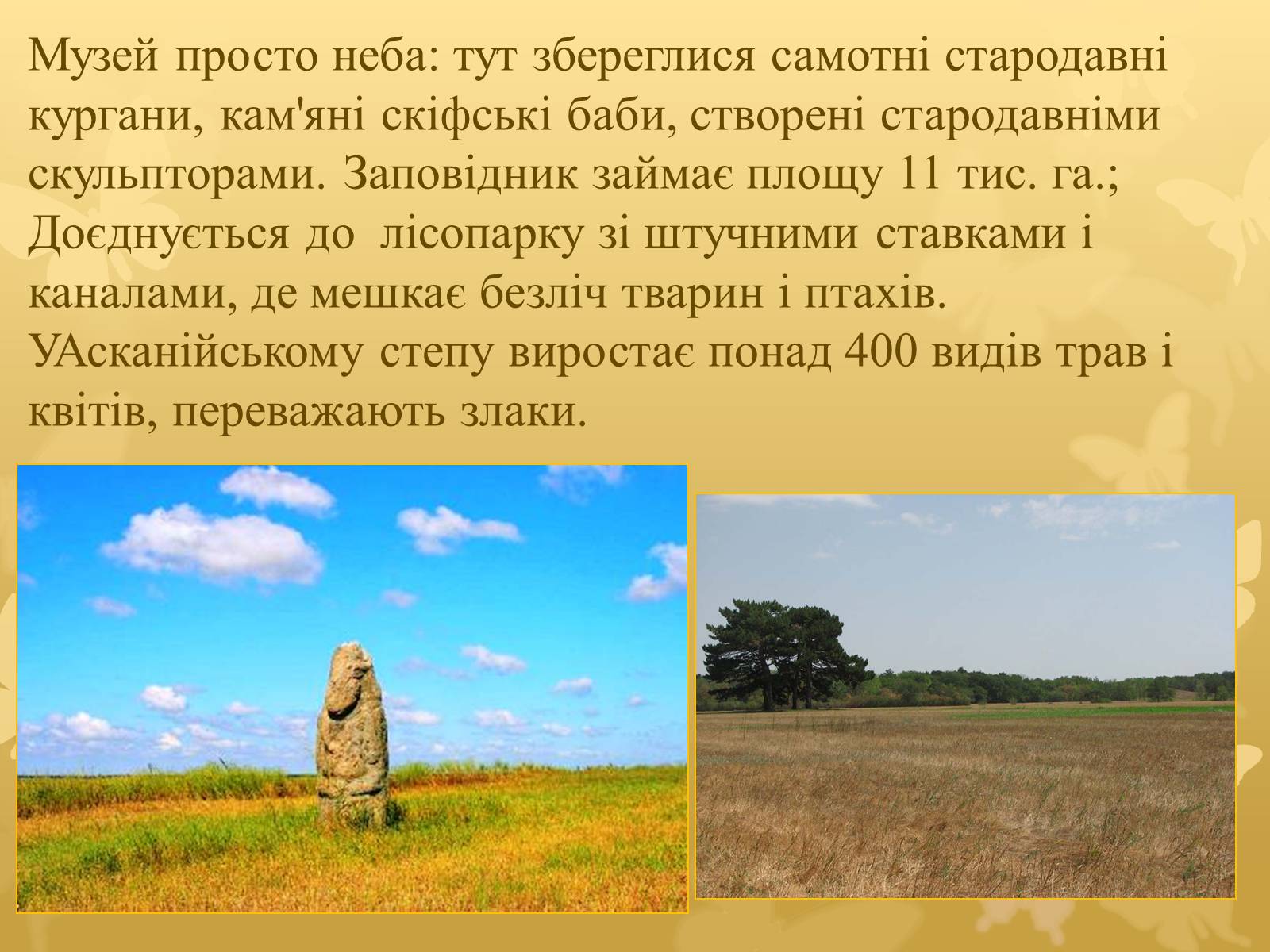 Презентація на тему «Асканія Нова» (варіант 7) - Слайд #4 Презентація на тему «Асканія Нова» (варіант 7) - Слайд #4